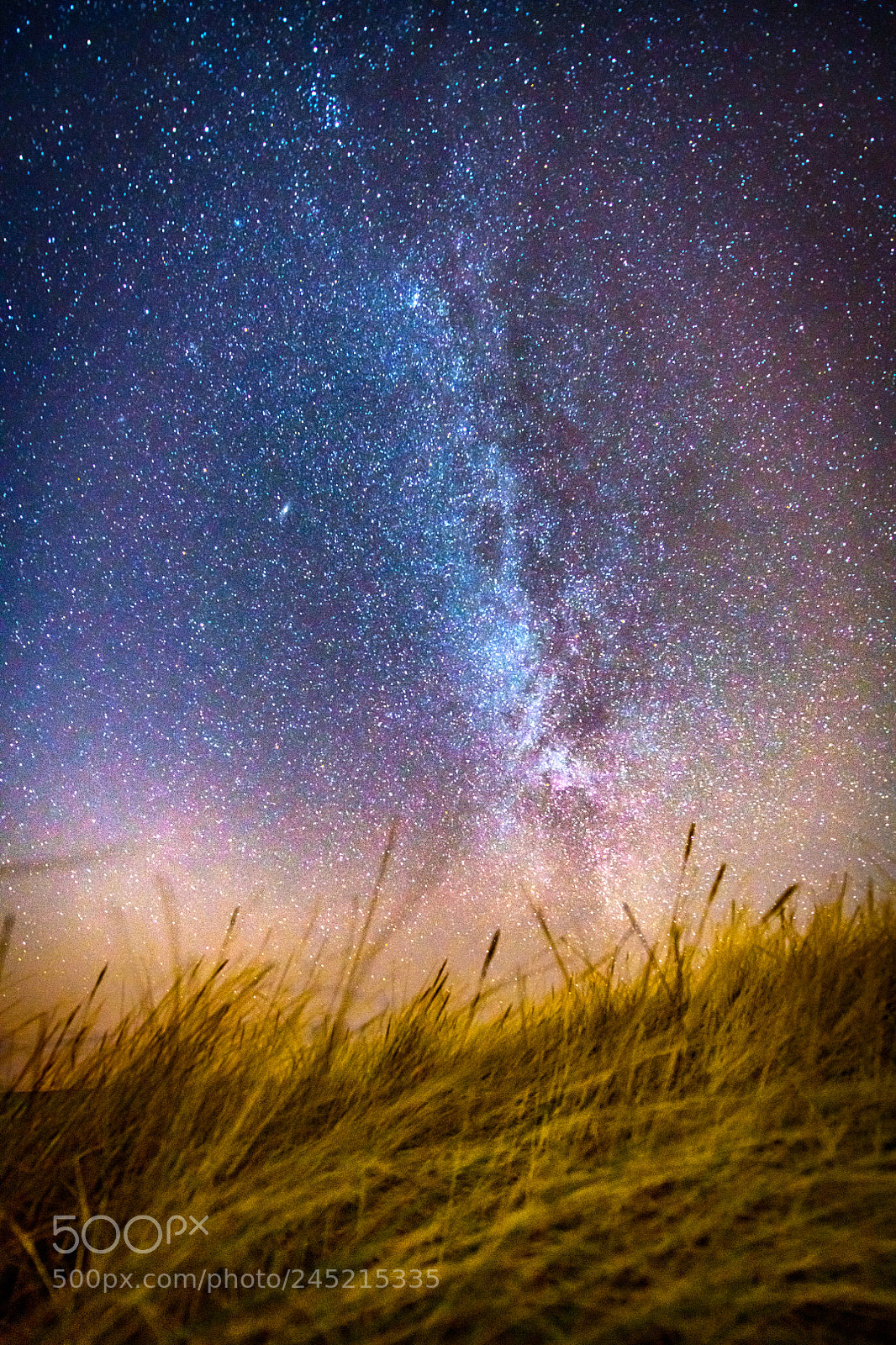 Nikon D850 sample photo. Night at the dutch photography