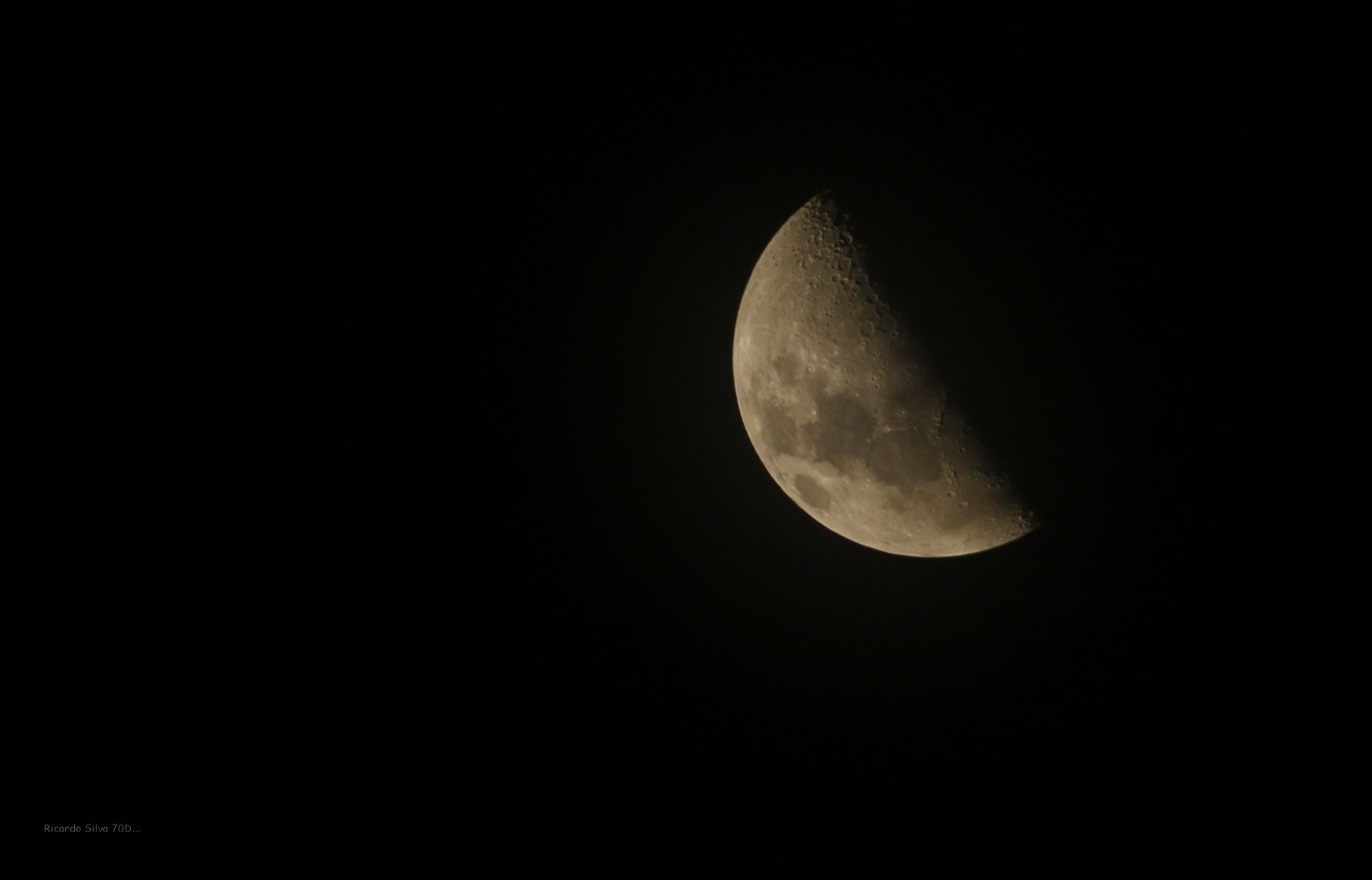 Canon EF-S 55-250mm F4-5.6 IS STM sample photo. Metade photography