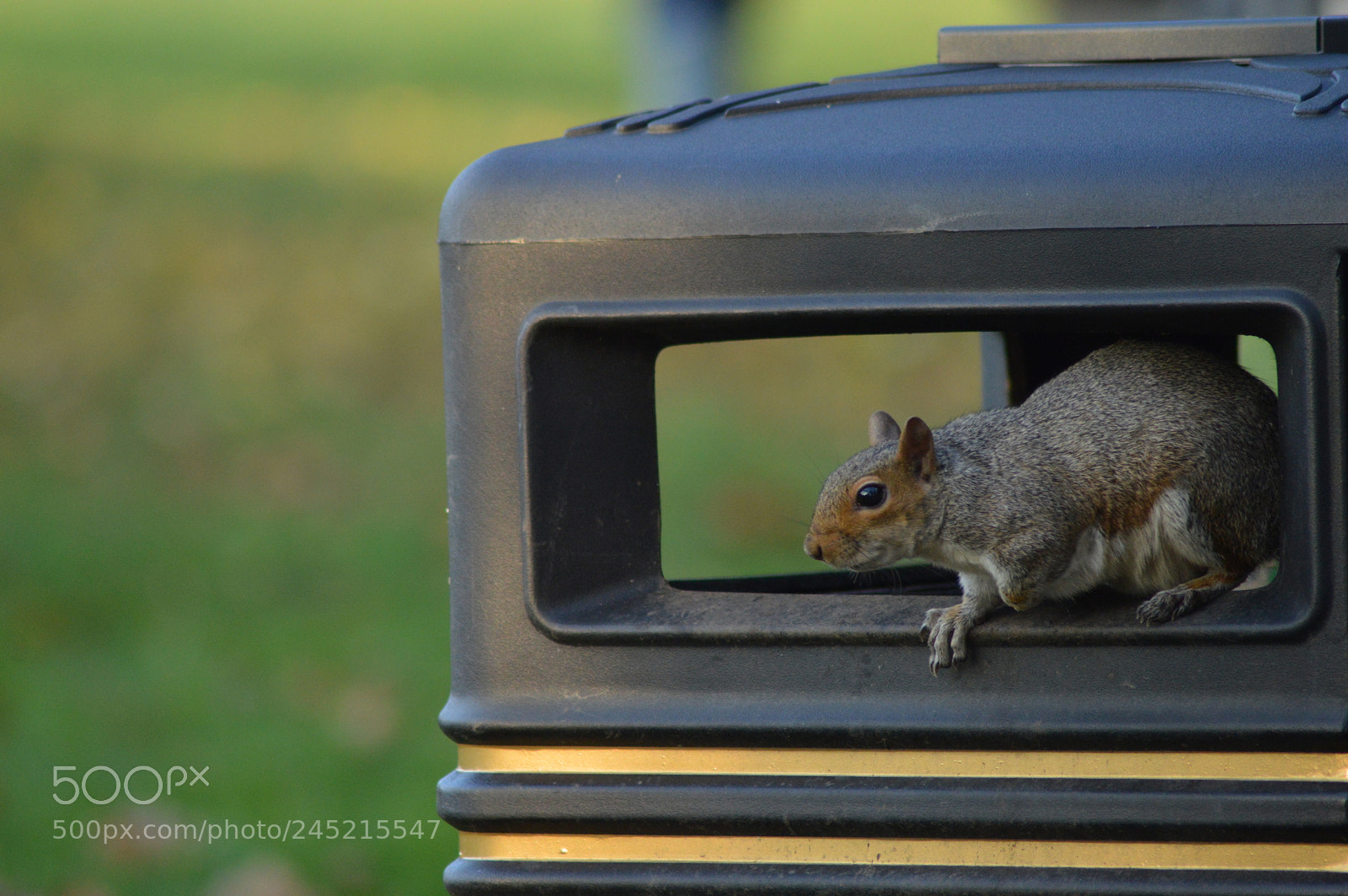 Nikon D3200 sample photo. Untitled photography