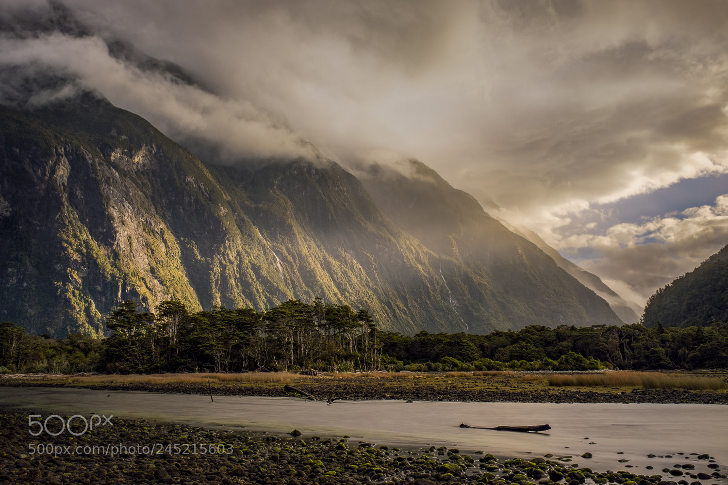 Fujifilm X-T2 sample photo. Resistances // new zealand photography