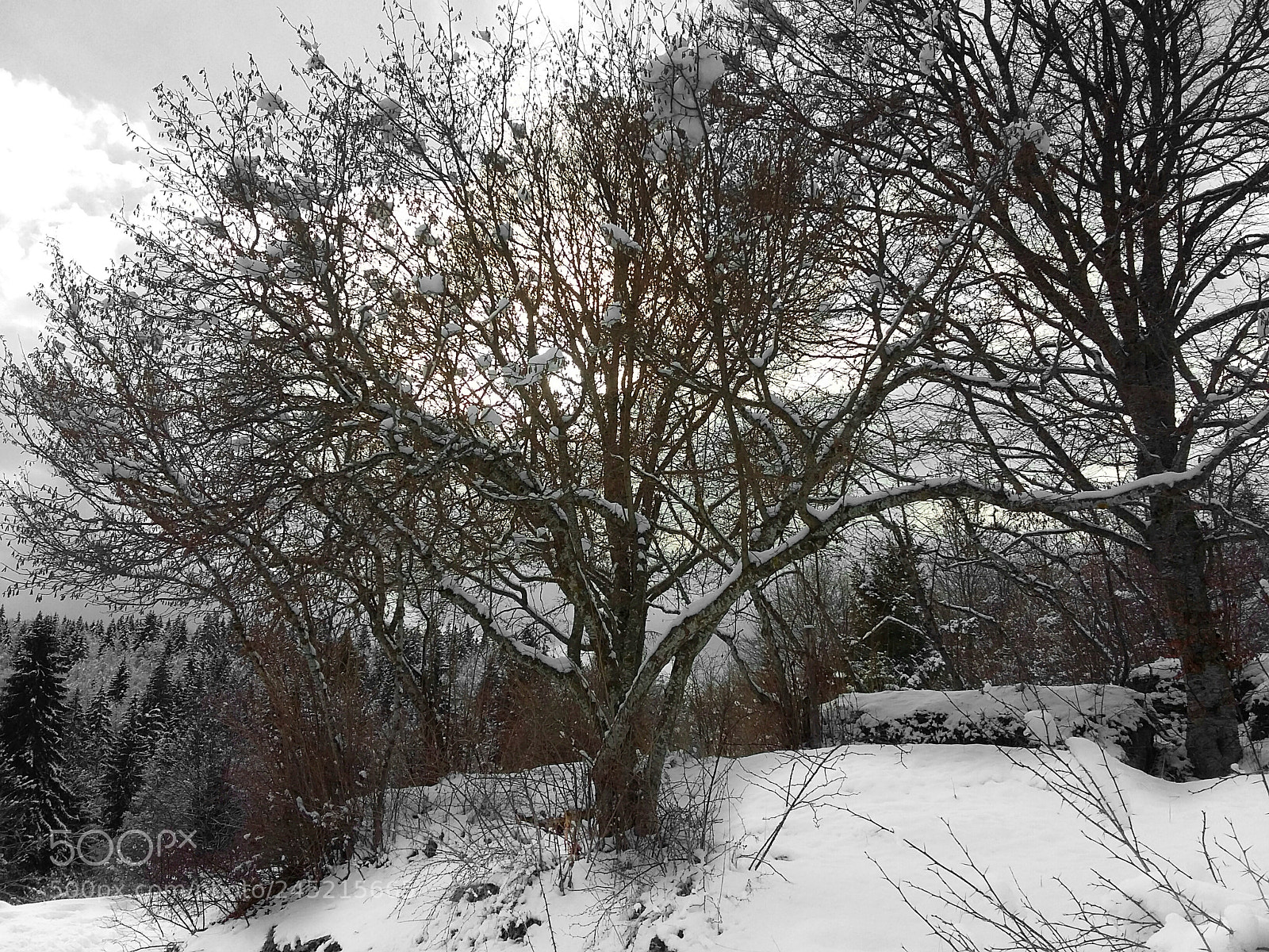 Samsung Galaxy Grand Prime sample photo. Untitled photography