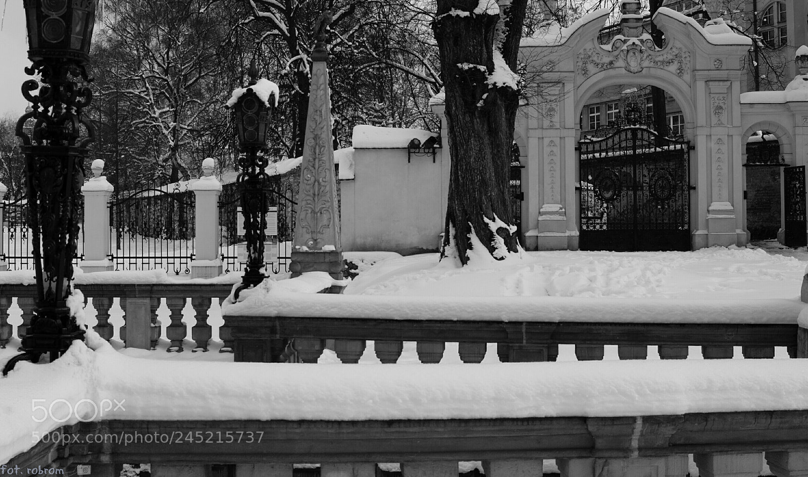 Nikon D50 sample photo. Winter photography