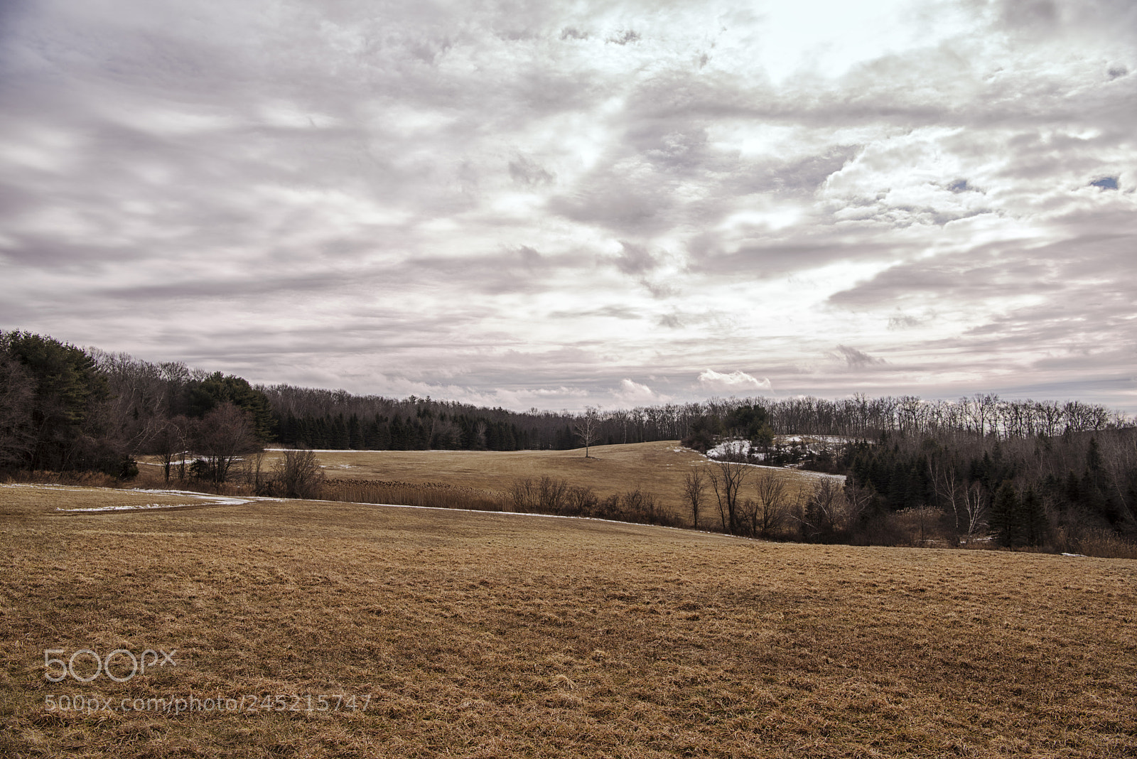 Nikon D810 sample photo. Taken at long farm photography