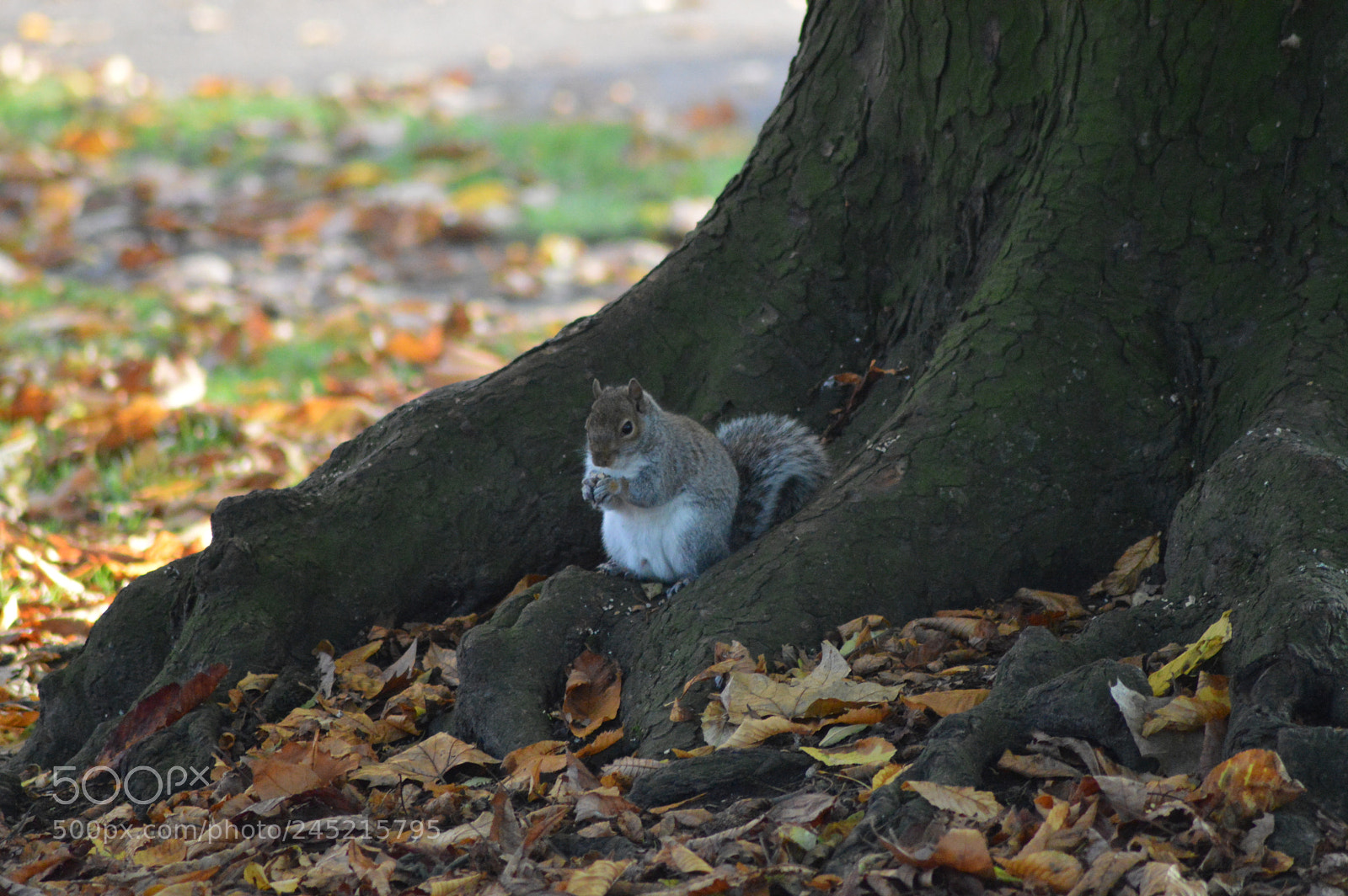 Nikon D3200 sample photo. Untitled photography