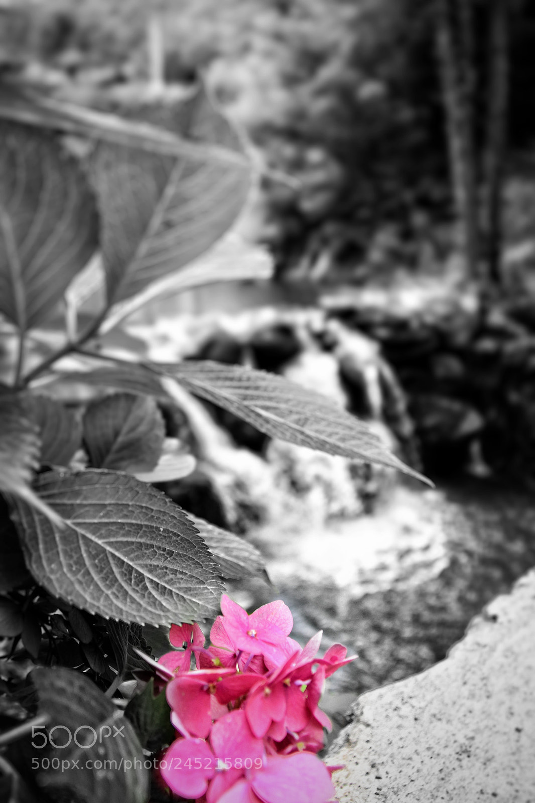 Canon EOS 650D (EOS Rebel T4i / EOS Kiss X6i) sample photo. Untitled photography