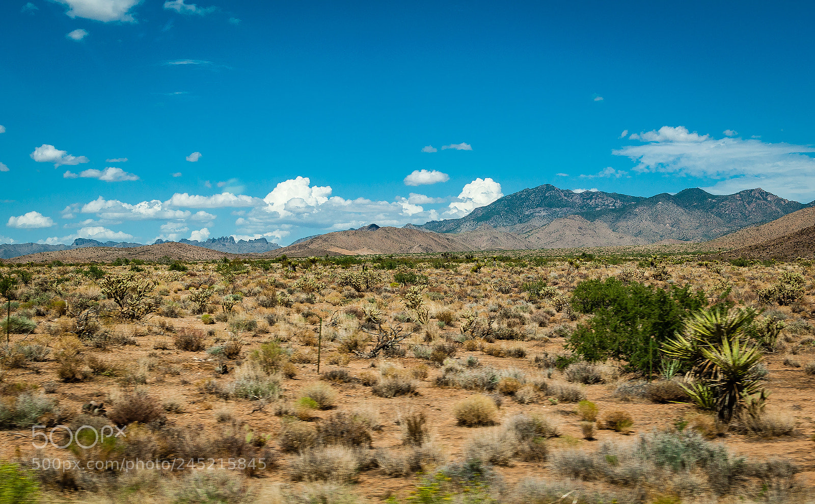 Nikon D90 sample photo. Nevada desert photography