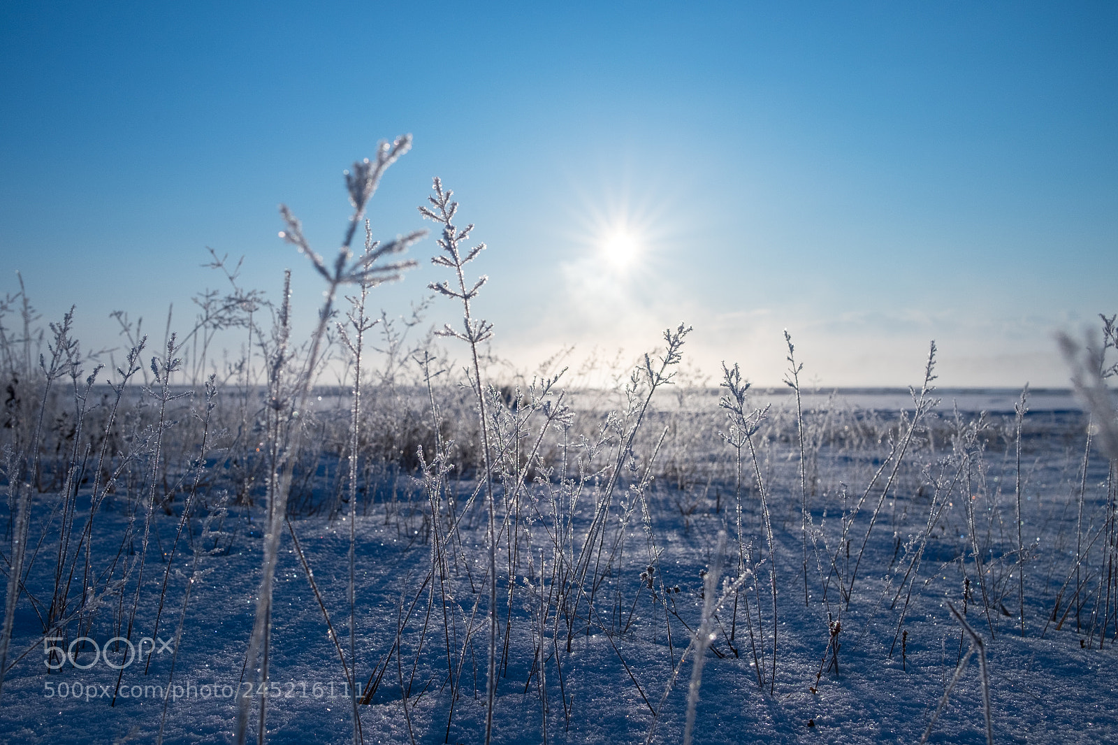 Fujifilm X-T1 sample photo. Cold morning photography
