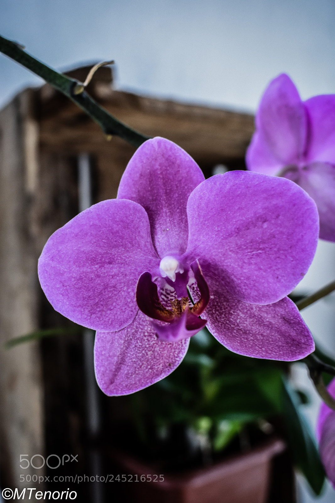 Nikon D3400 sample photo. Dsc_0026 photography