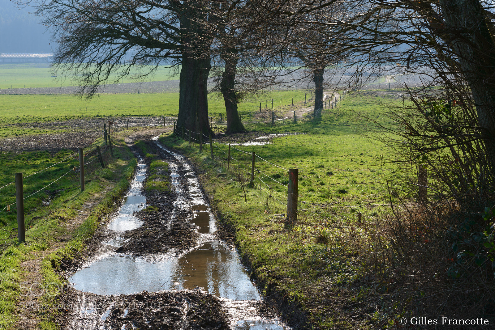 Nikon D800 sample photo. Flooded path photography