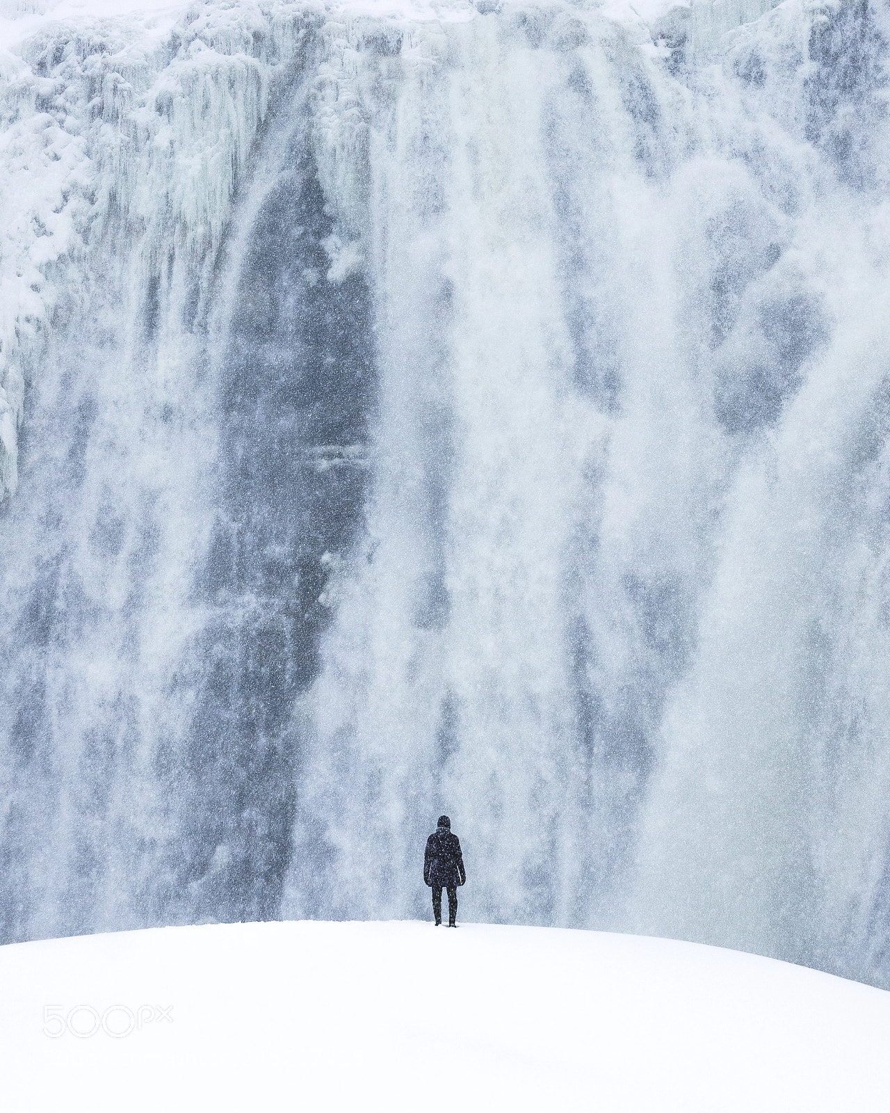 Sony a7R III sample photo. In front of montmorency photography