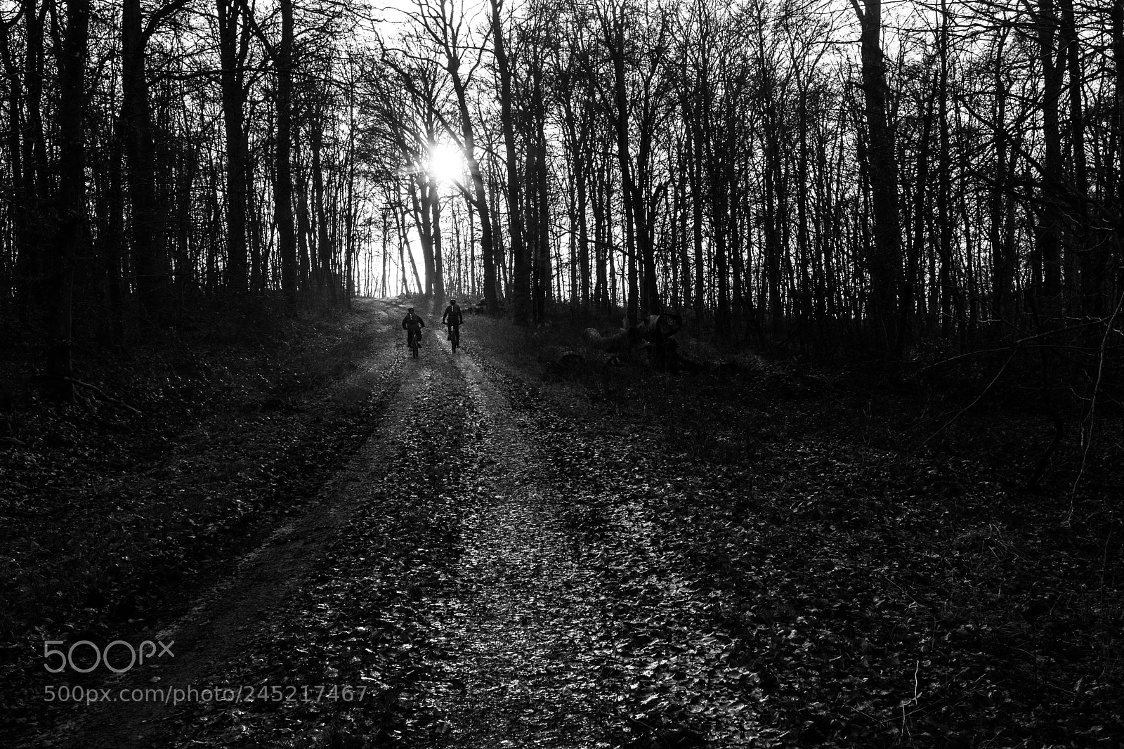 Fujifilm X-E3 sample photo. Ride into the sun photography