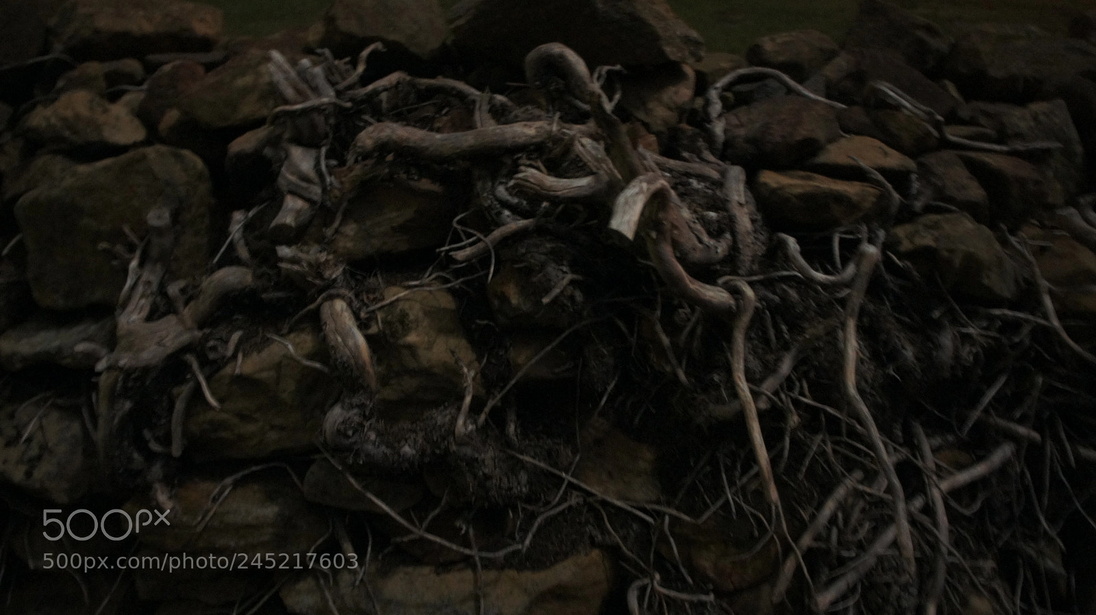 Sony Alpha NEX-3 sample photo. Landscapes photography