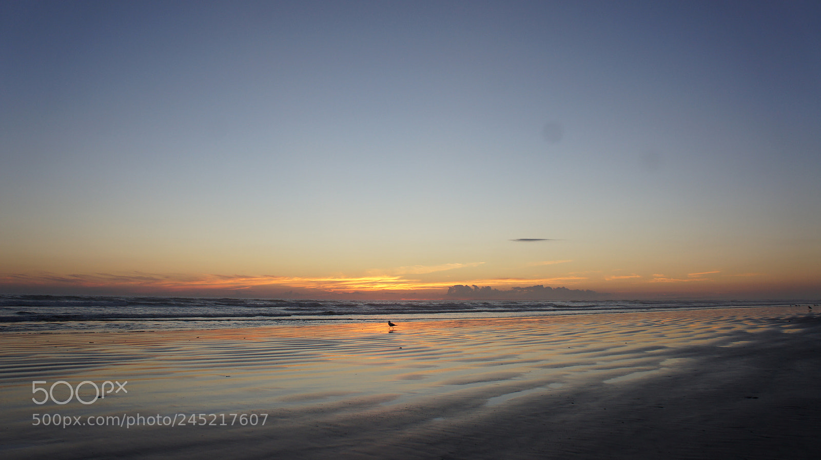 Sony Alpha NEX-3 sample photo. Landscapes photography