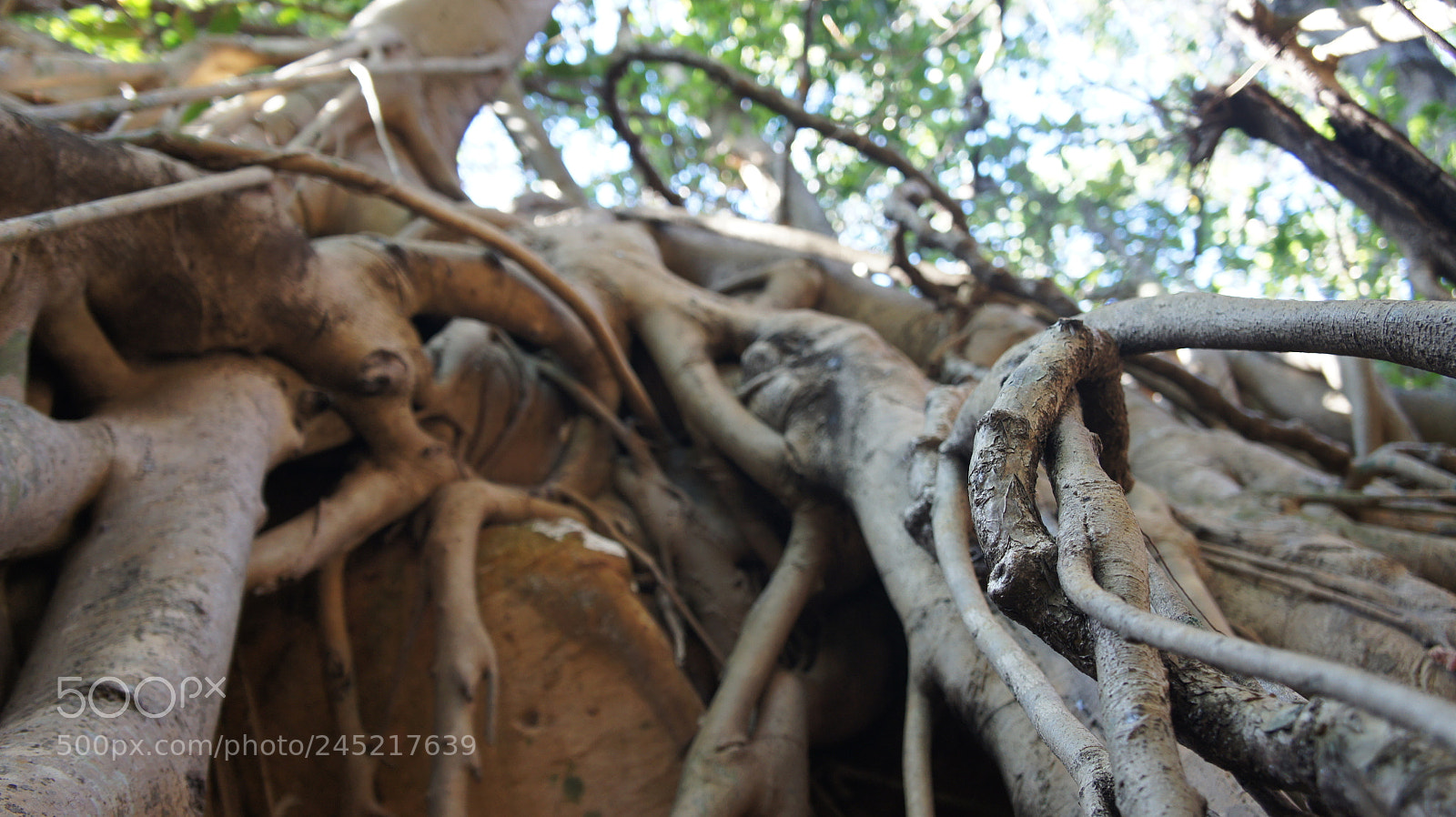 Sony Alpha NEX-3 sample photo. Landscapes photography