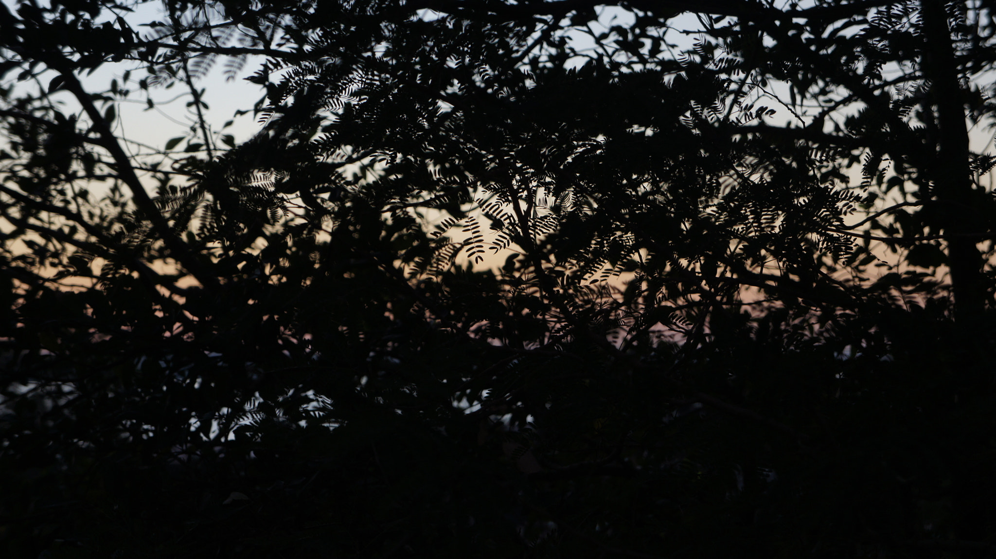 Sony E 18-55mm F3.5-5.6 OSS sample photo. Landscapes photography