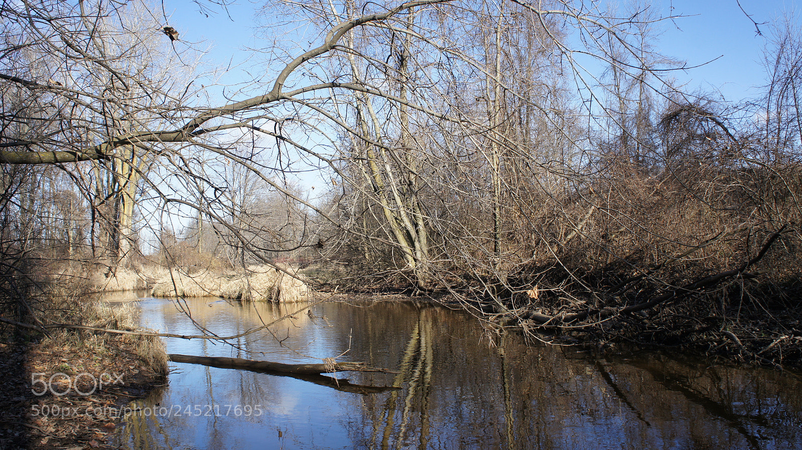 Sony Alpha NEX-3 sample photo. Landscapes photography