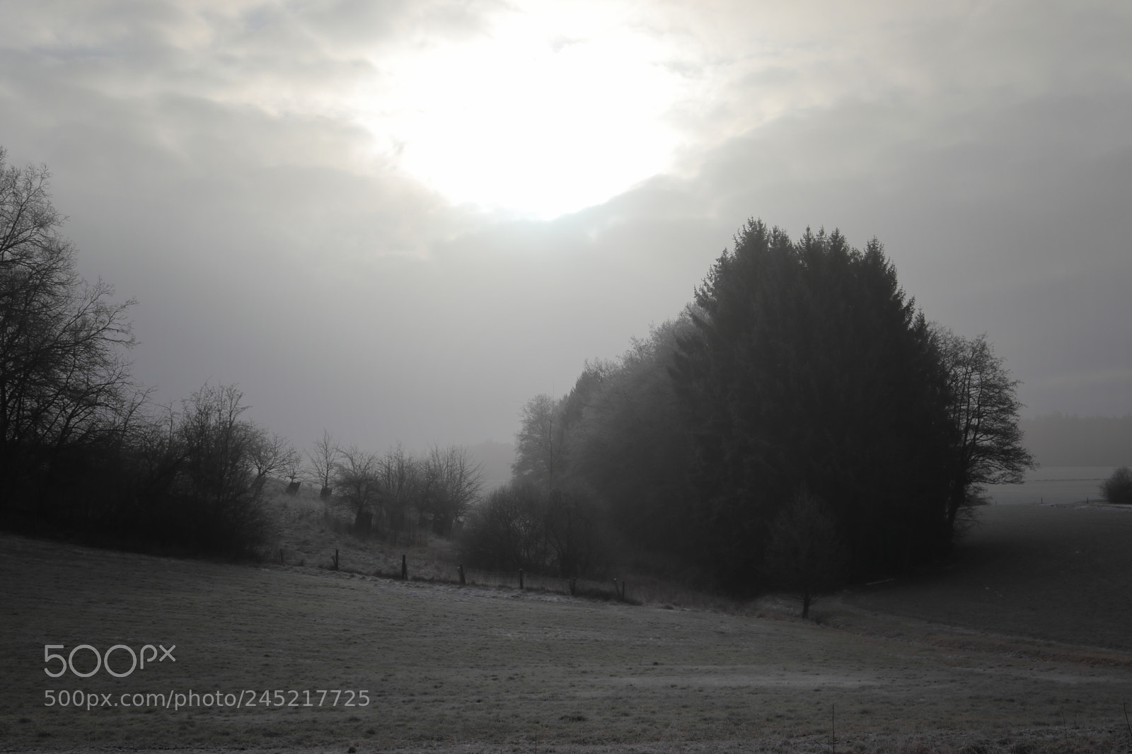 Canon EOS 200D (EOS Rebel SL2 / EOS Kiss X9) sample photo. Frosty morning ii photography