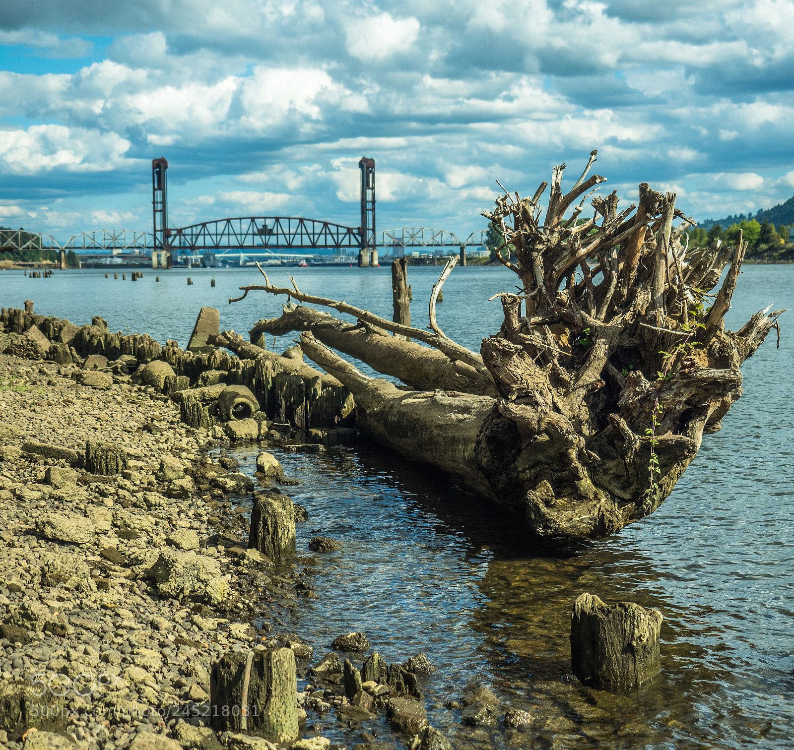 Olympus OM-D E-M5 II sample photo. Columbia river bank photography