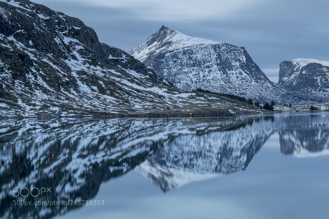 Nikon D850 sample photo. Lofoten! photography