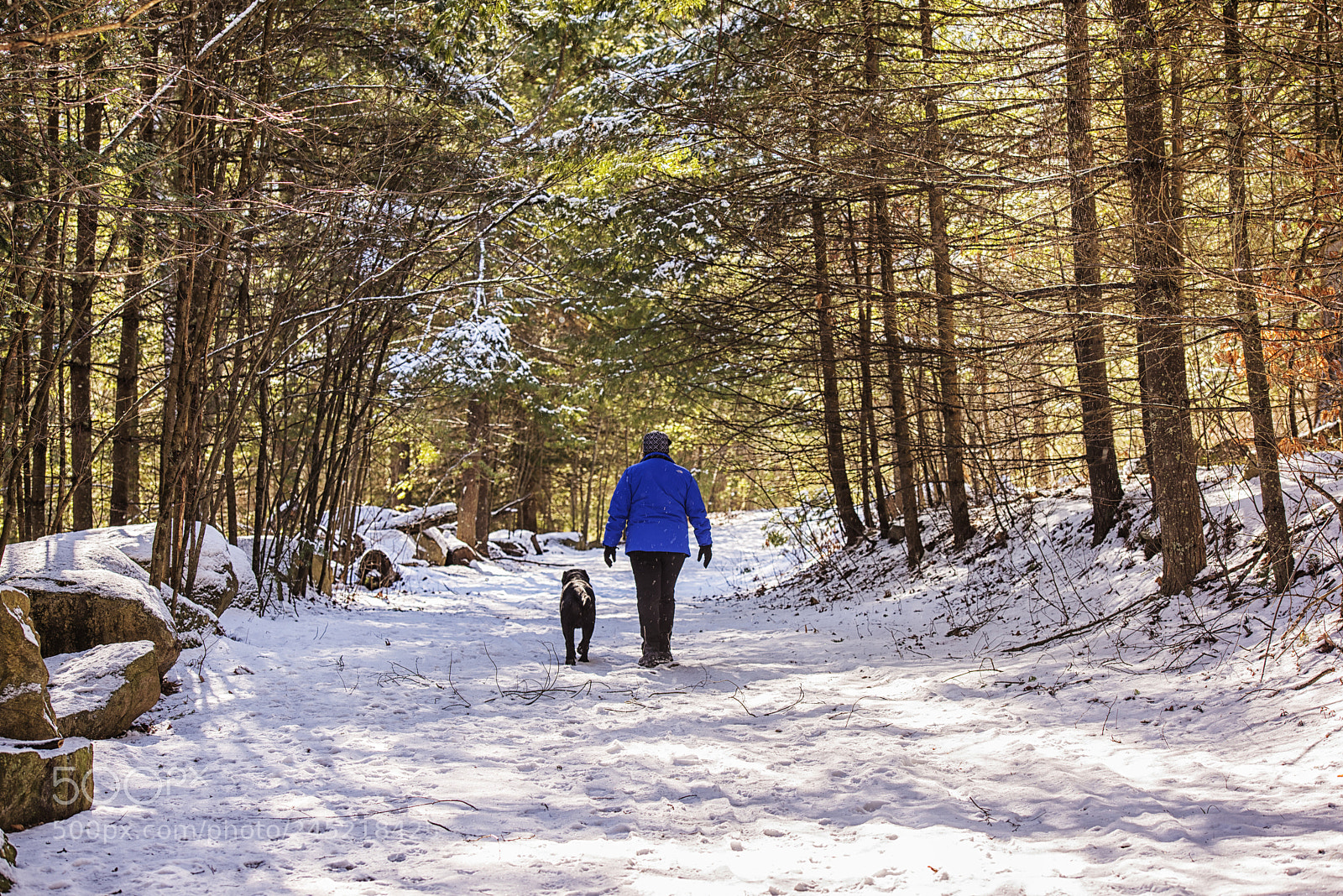 Nikon D810 sample photo. My wife and dog photography