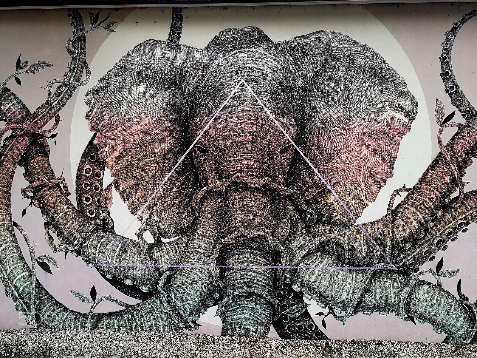 HUAWEI Mate 9 sample photo. Elephants never forget photography