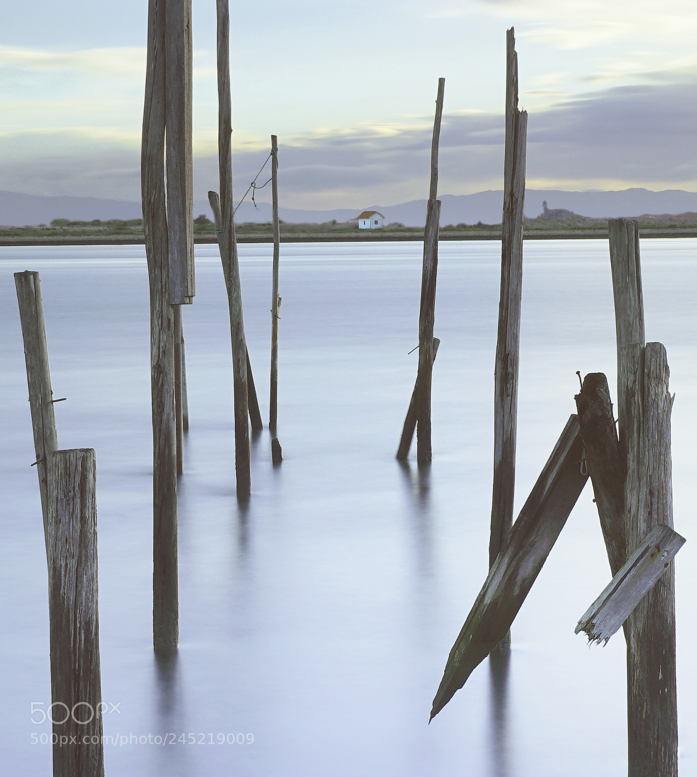 Sony a7 II sample photo. Alone between silence and photography