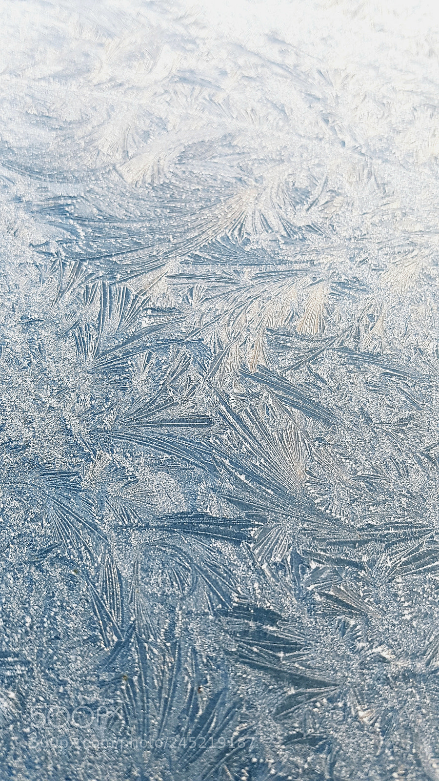 Samsung Galaxy S7 Edge sample photo. Iced car photography