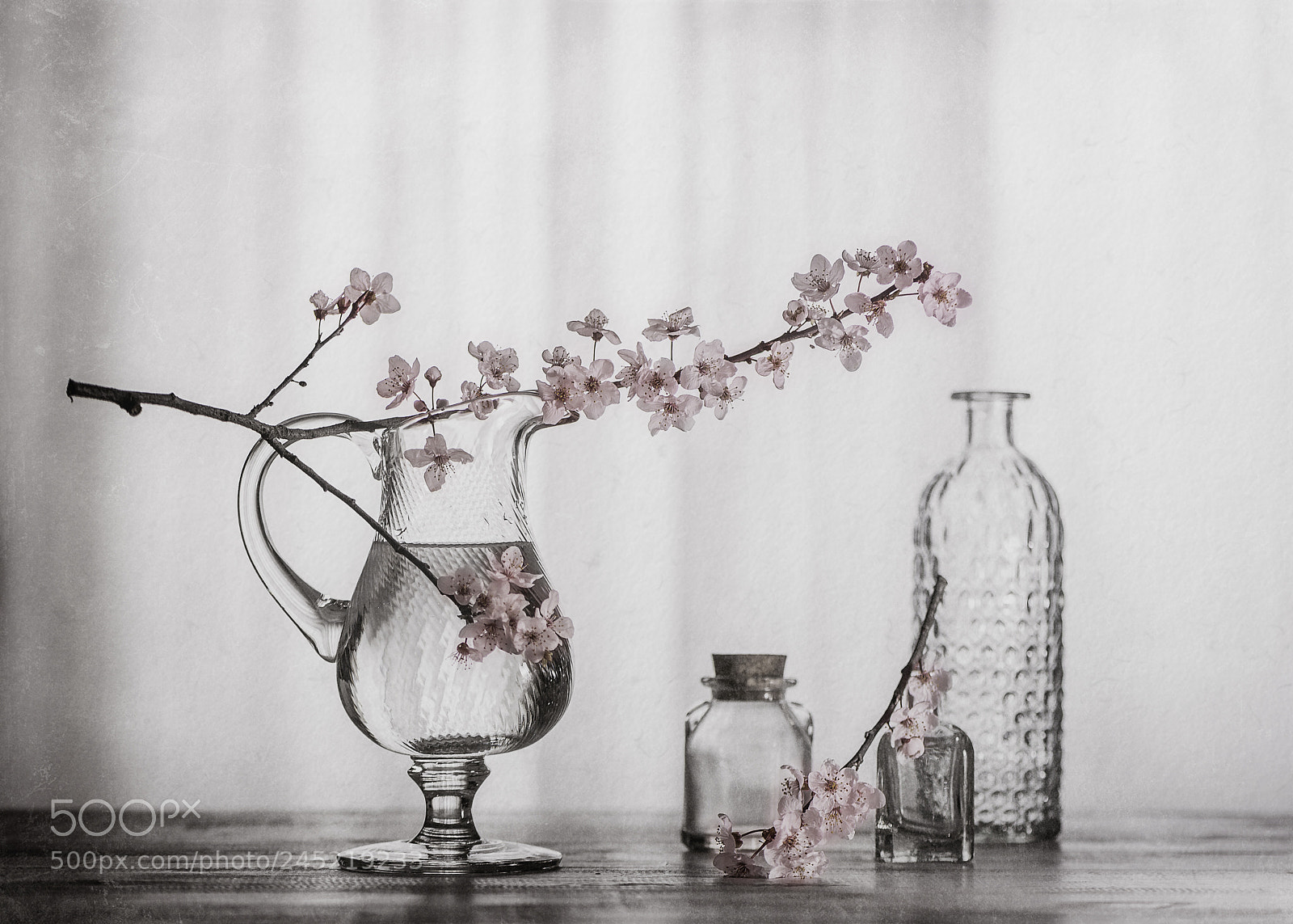 Nikon D600 sample photo. Transparency photography