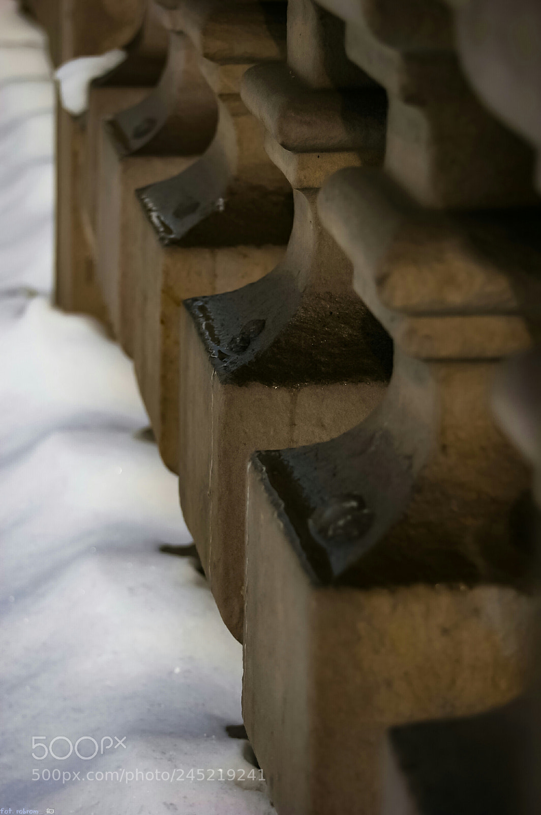 Nikon D50 sample photo. Row photography