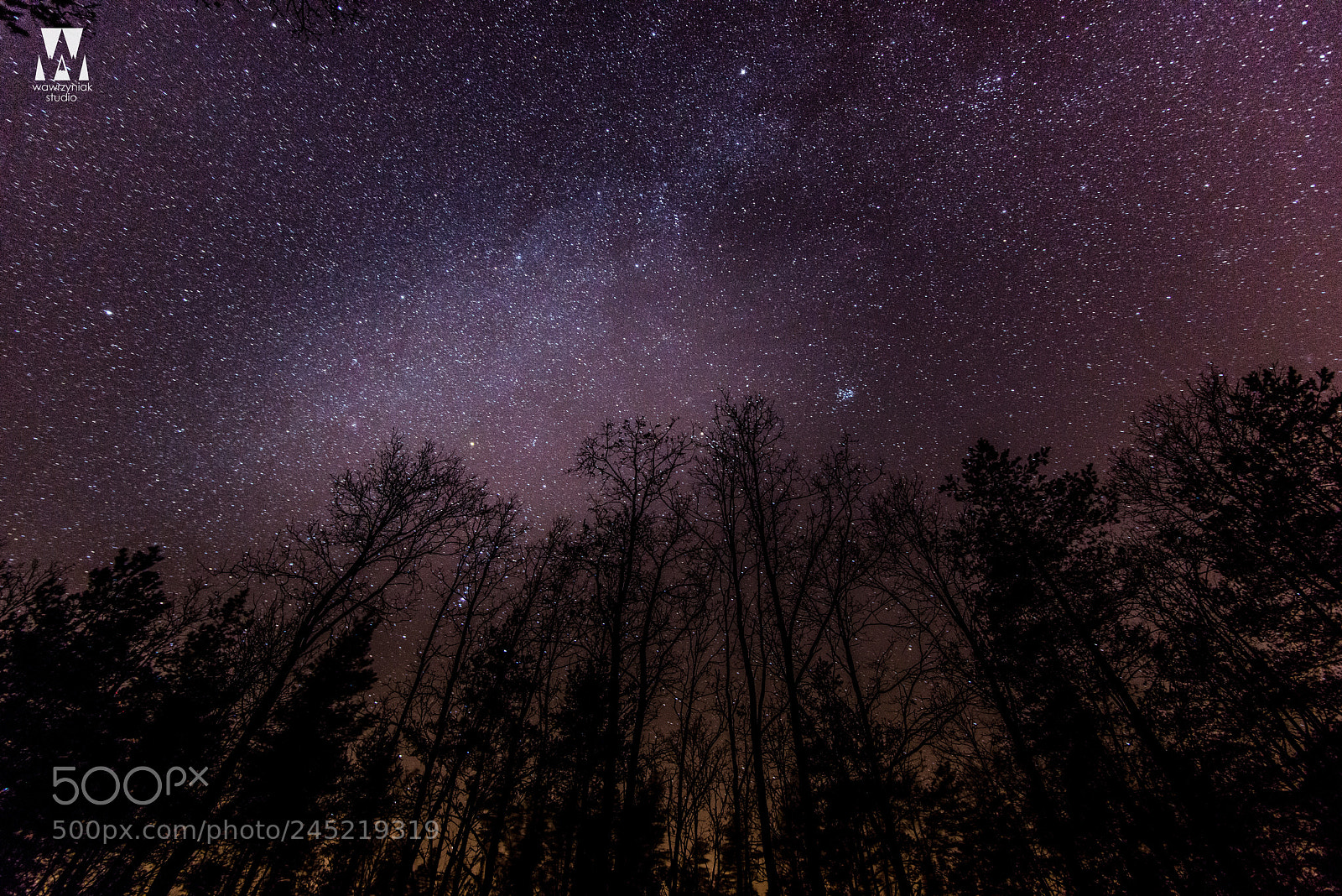 Nikon D800 sample photo. Stars photography
