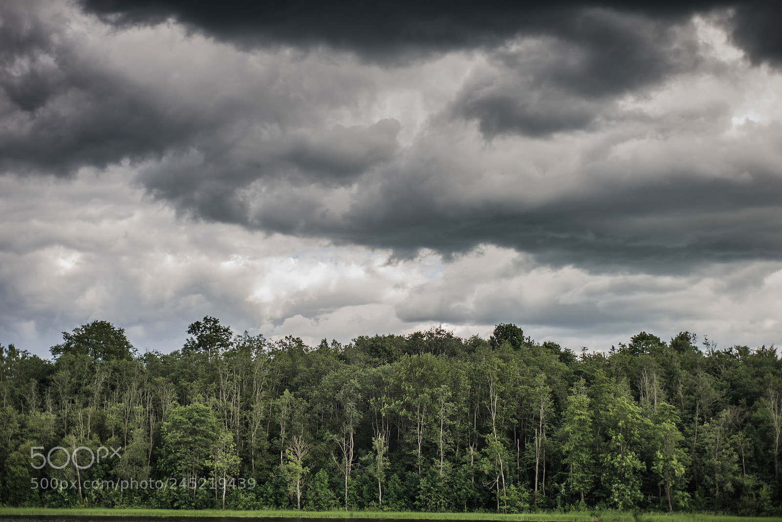 Nikon D610 sample photo. Before the storm photography