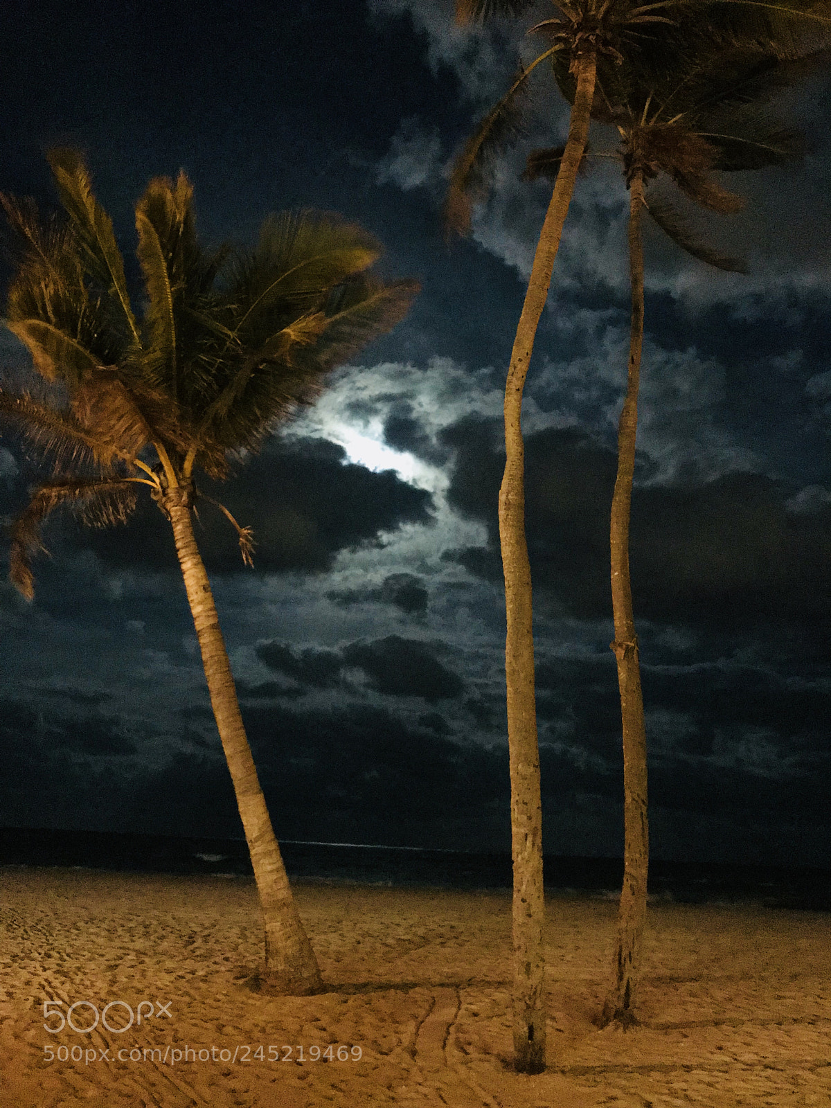 Apple iPhone 7 sample photo. Miami blue moon photography