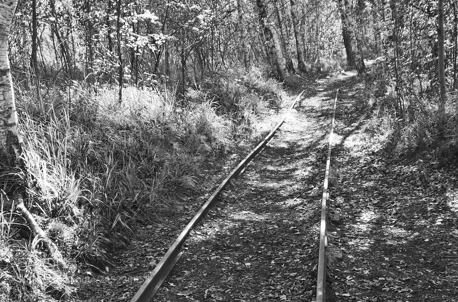 Pentax K-30 sample photo. Railroad to nowhere photography
