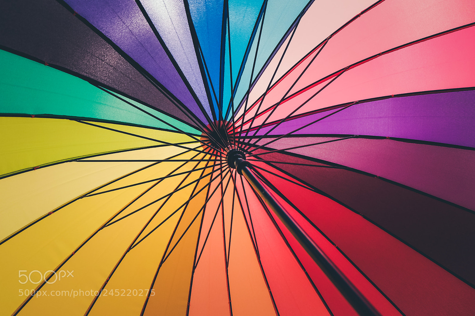 Fujifilm X-T10 sample photo. Colors photography