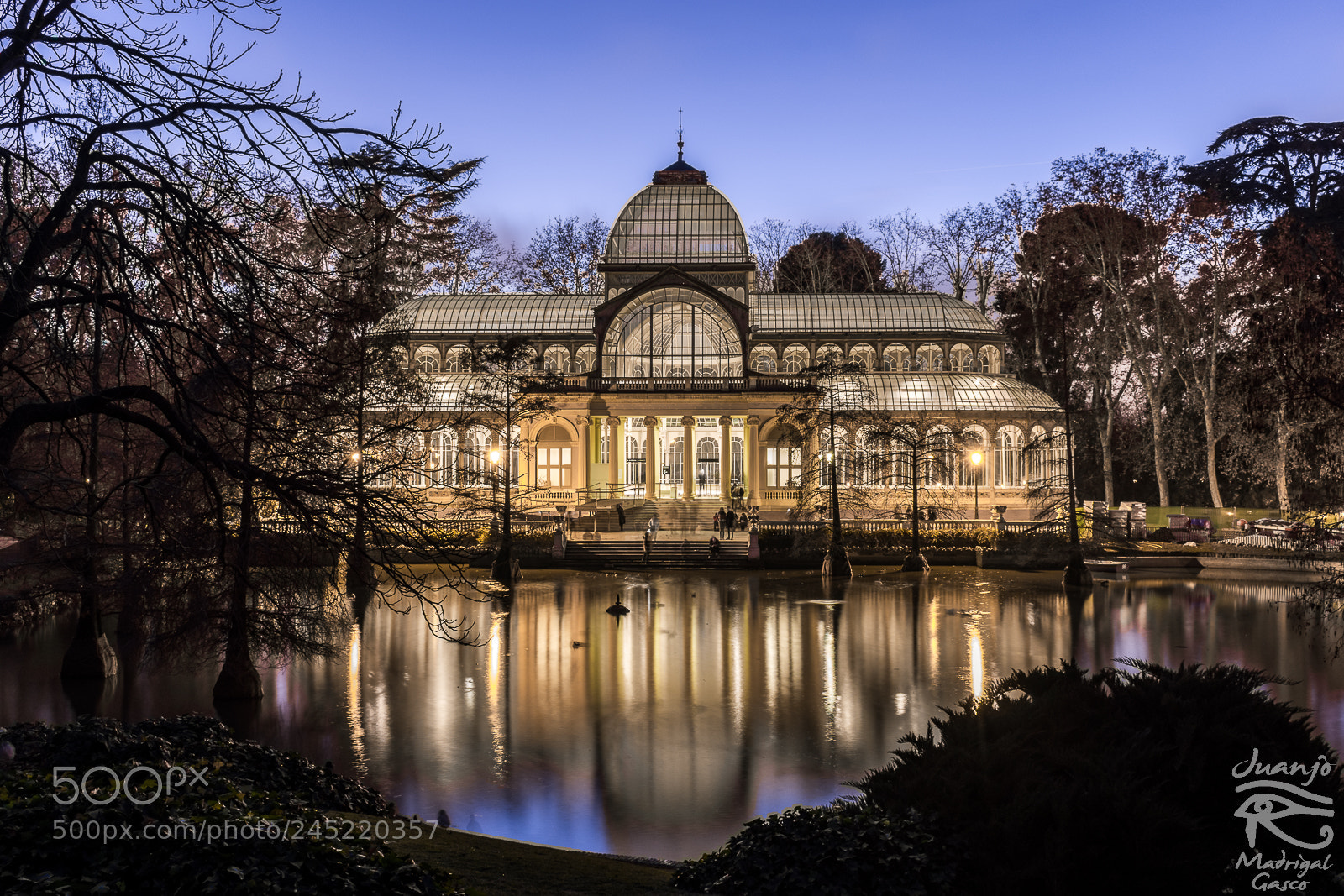 Nikon D7200 sample photo. The glass palace photography