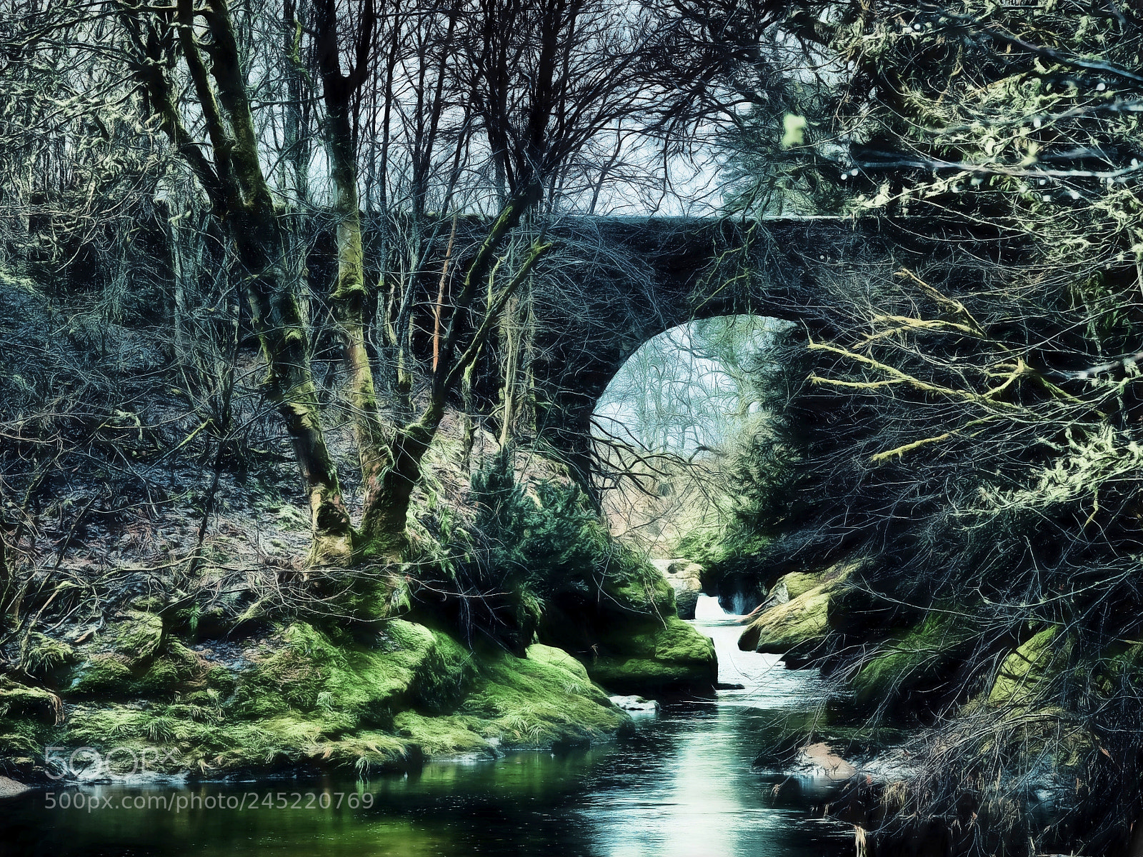 Olympus OM-D E-M1 sample photo. Buchanty spout photography