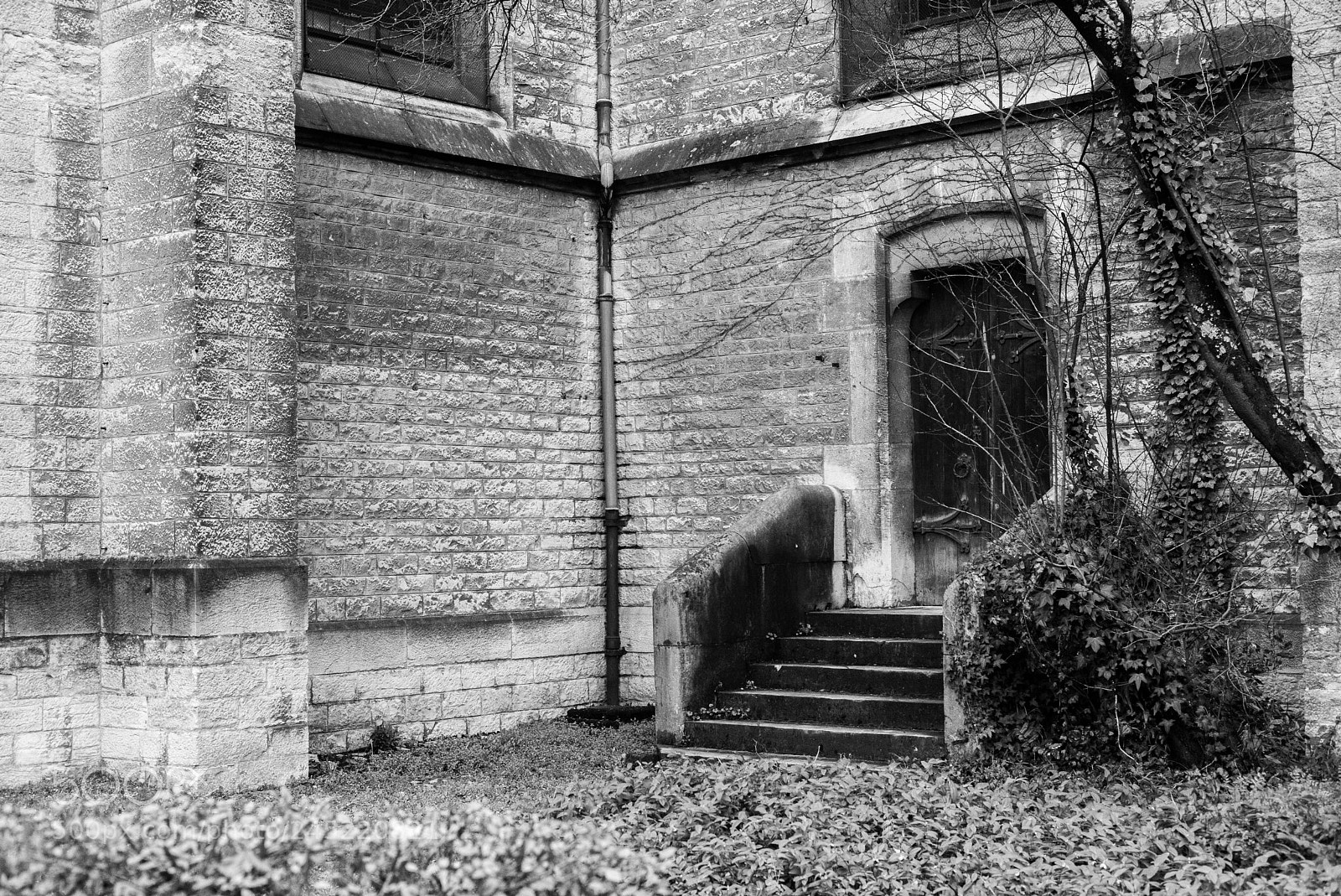 Leica M (Typ 240) sample photo. Door photography