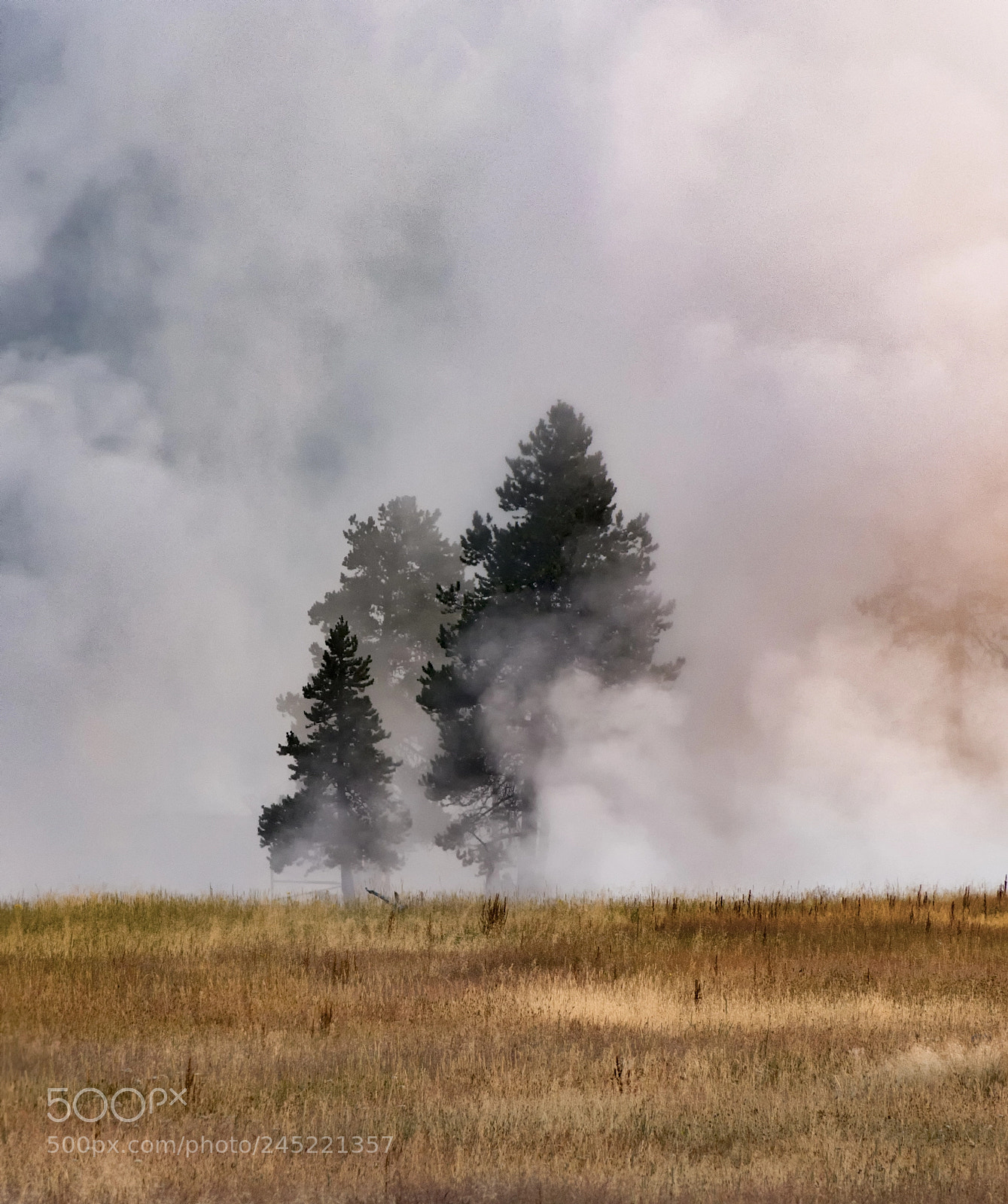 Nikon D7200 sample photo. Smokey sunrise photography