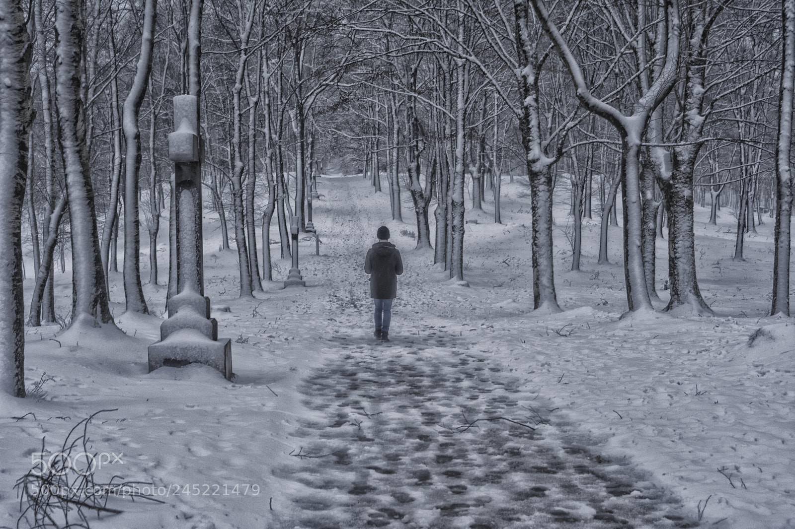 Nikon D7100 sample photo. Walk through the snow photography