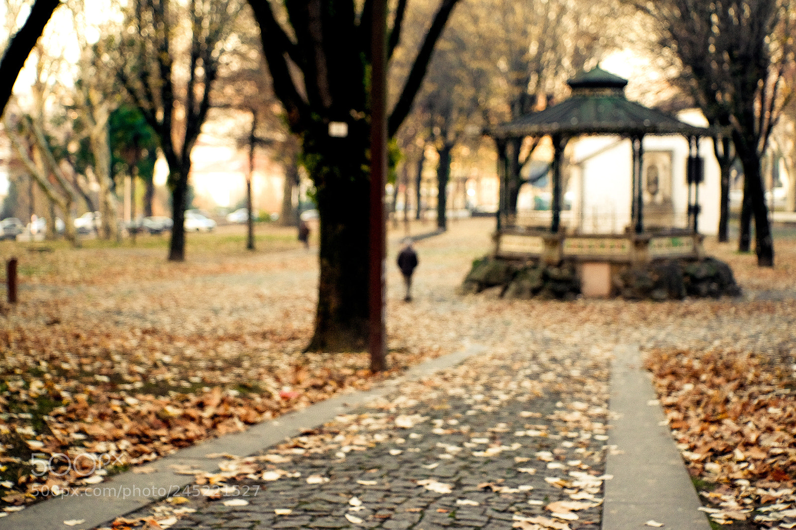 Fujifilm X-T10 sample photo. One photography