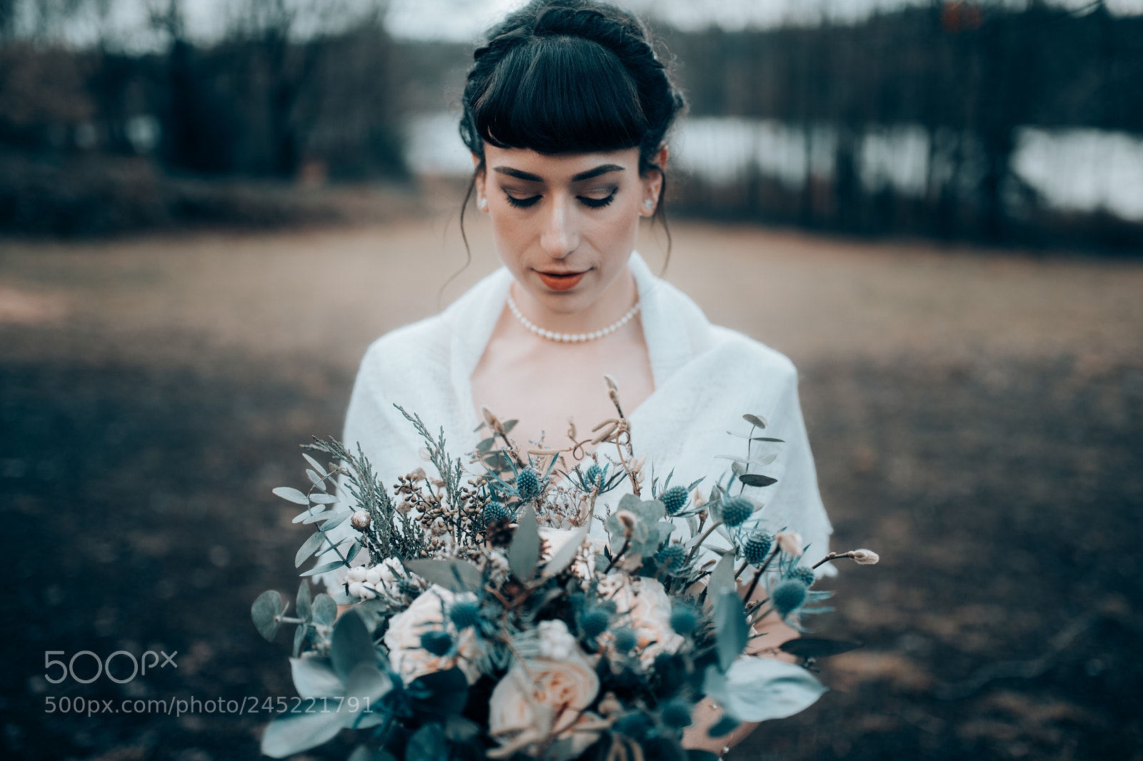 Nikon D850 sample photo. Untitled photography