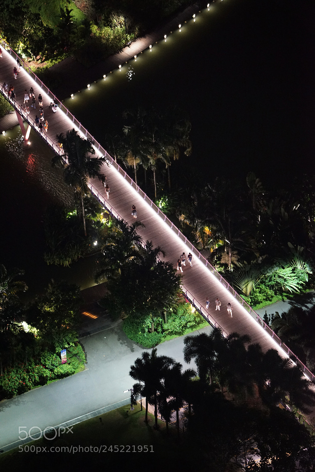 Sony a7R sample photo. Saber bridge photography