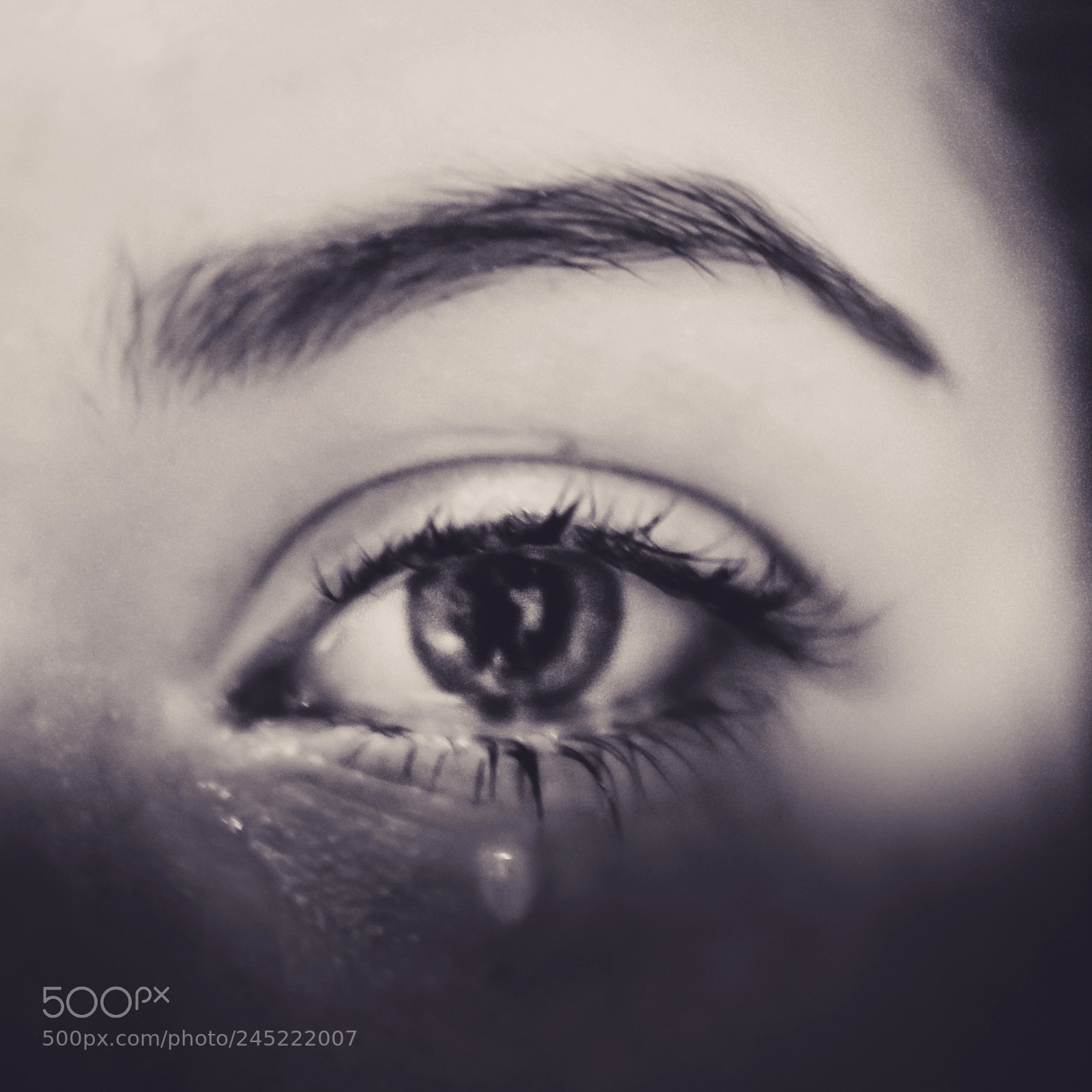 Nikon D5100 sample photo. Eye distress photography