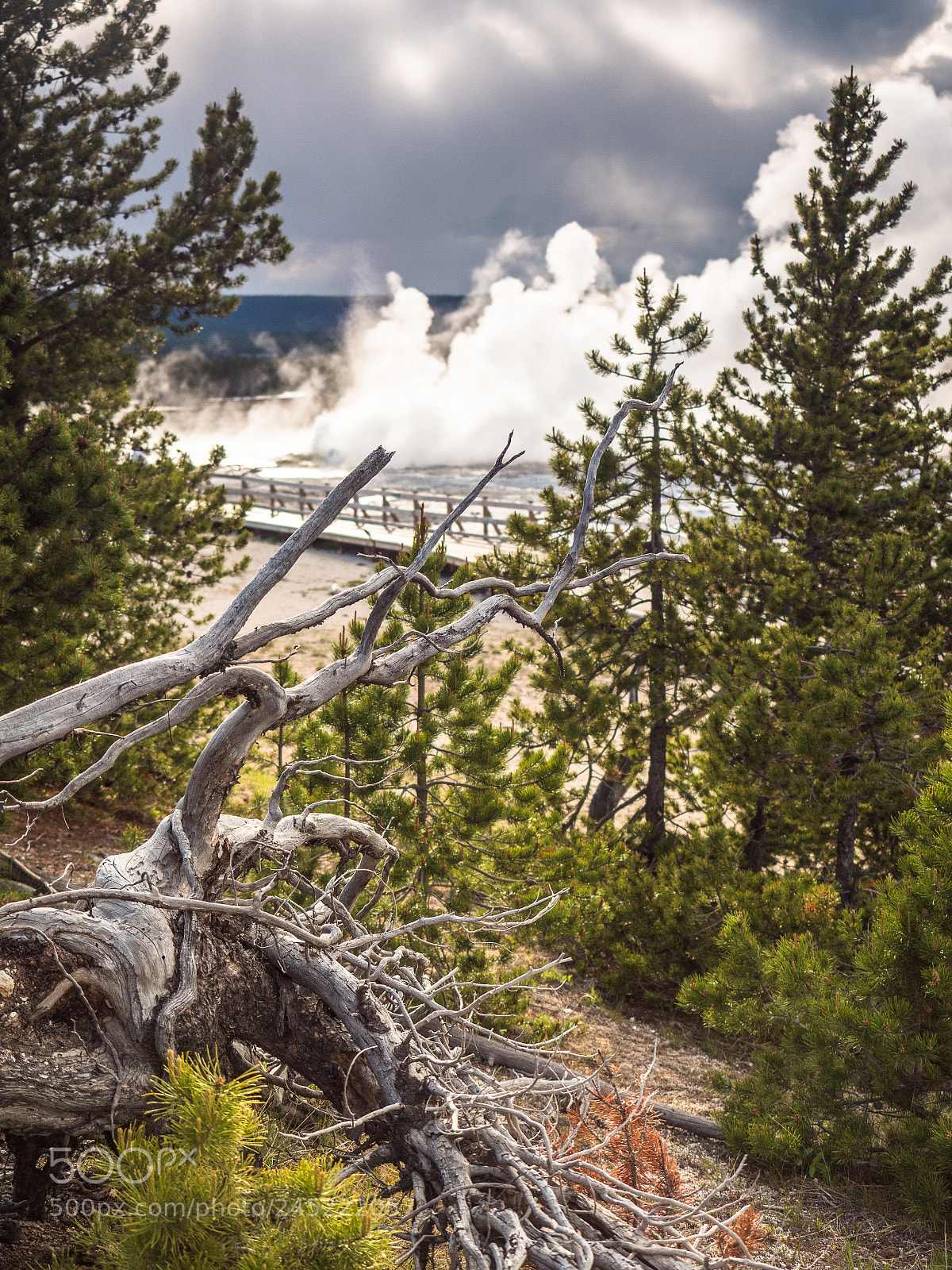 Olympus OM-D E-M5 II sample photo. Volcanic steam in the photography