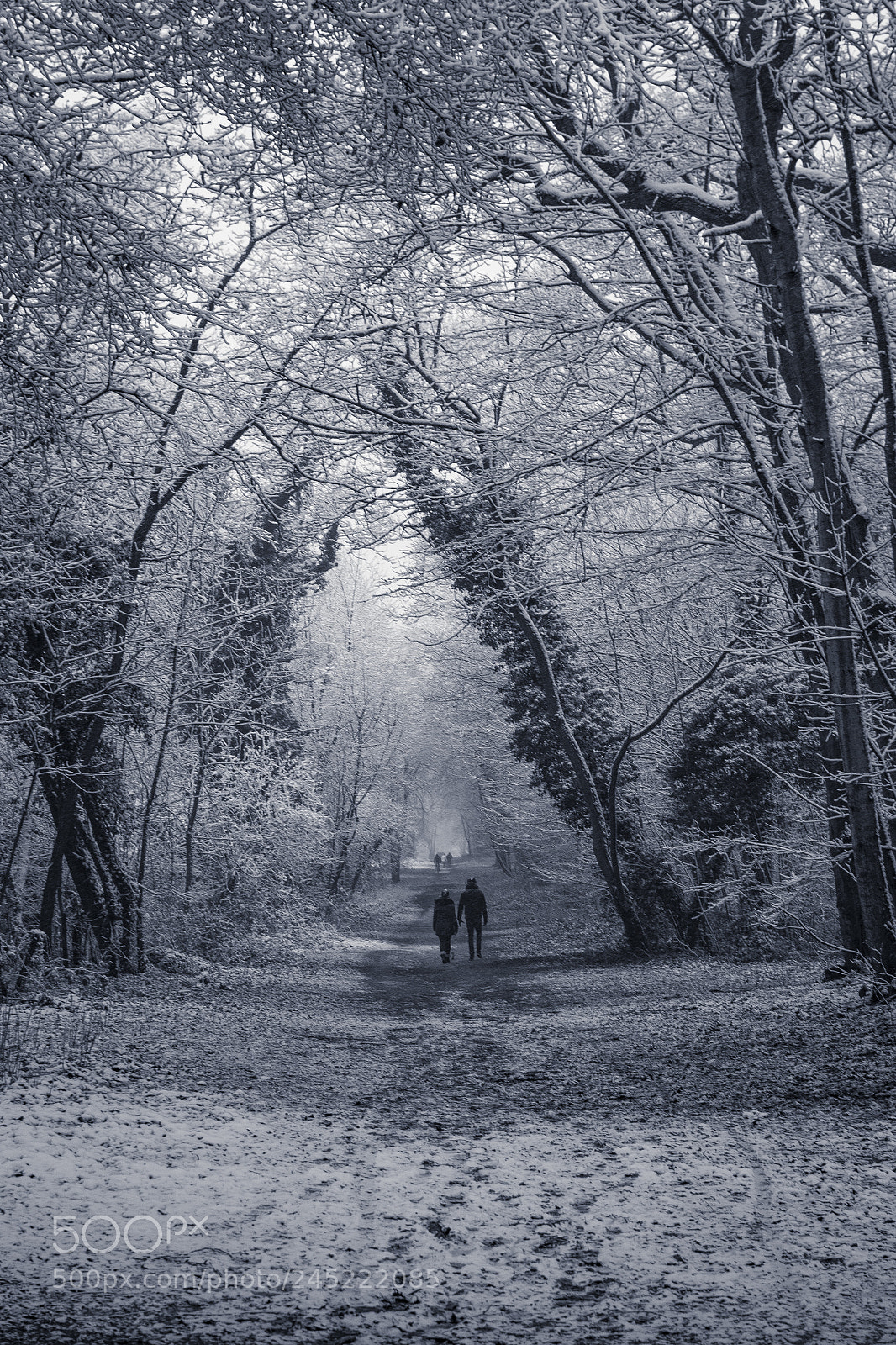 Nikon D3100 sample photo. Casual walk photography