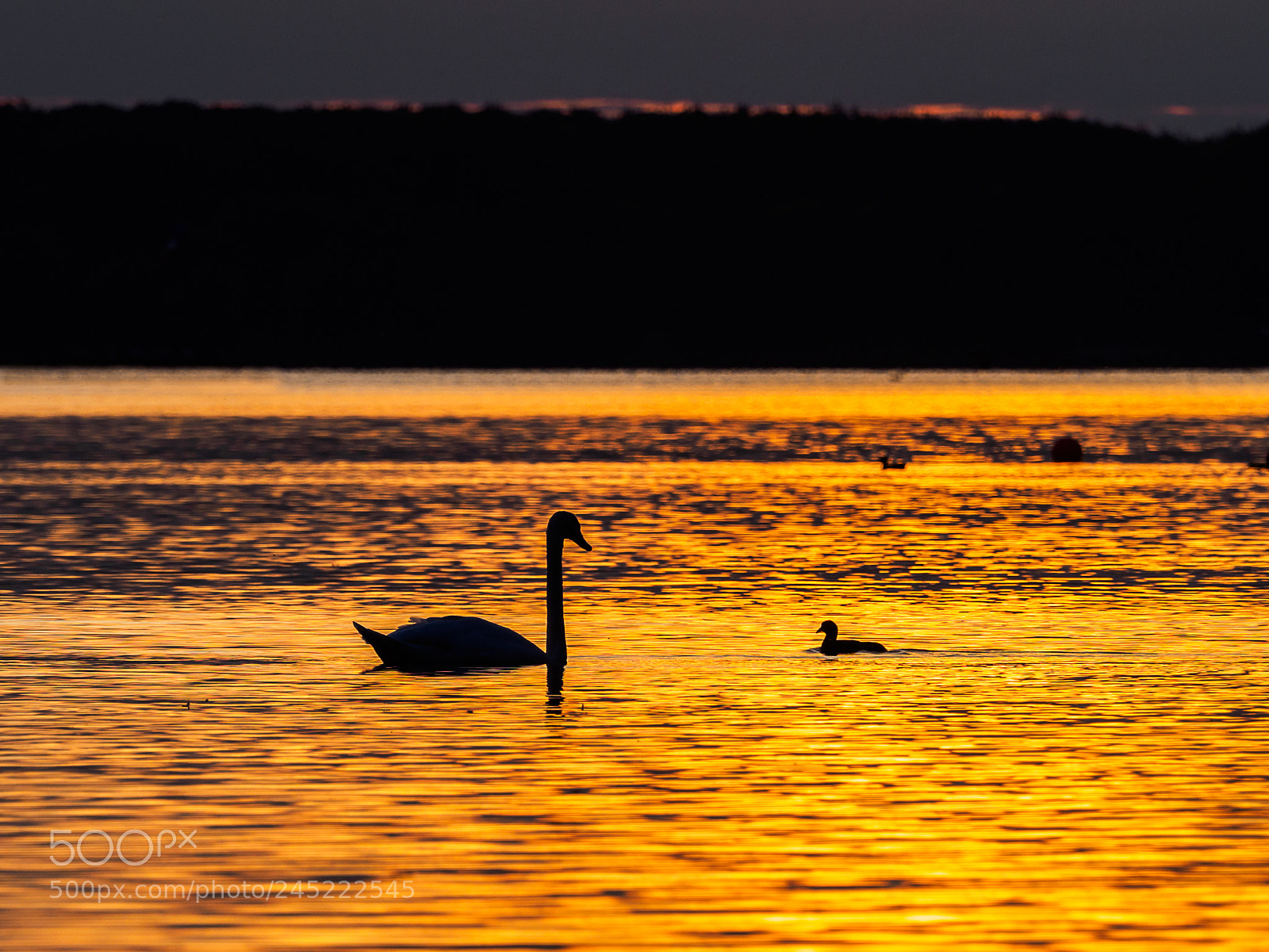 Olympus OM-D E-M1 sample photo. Meeting at sunset photography