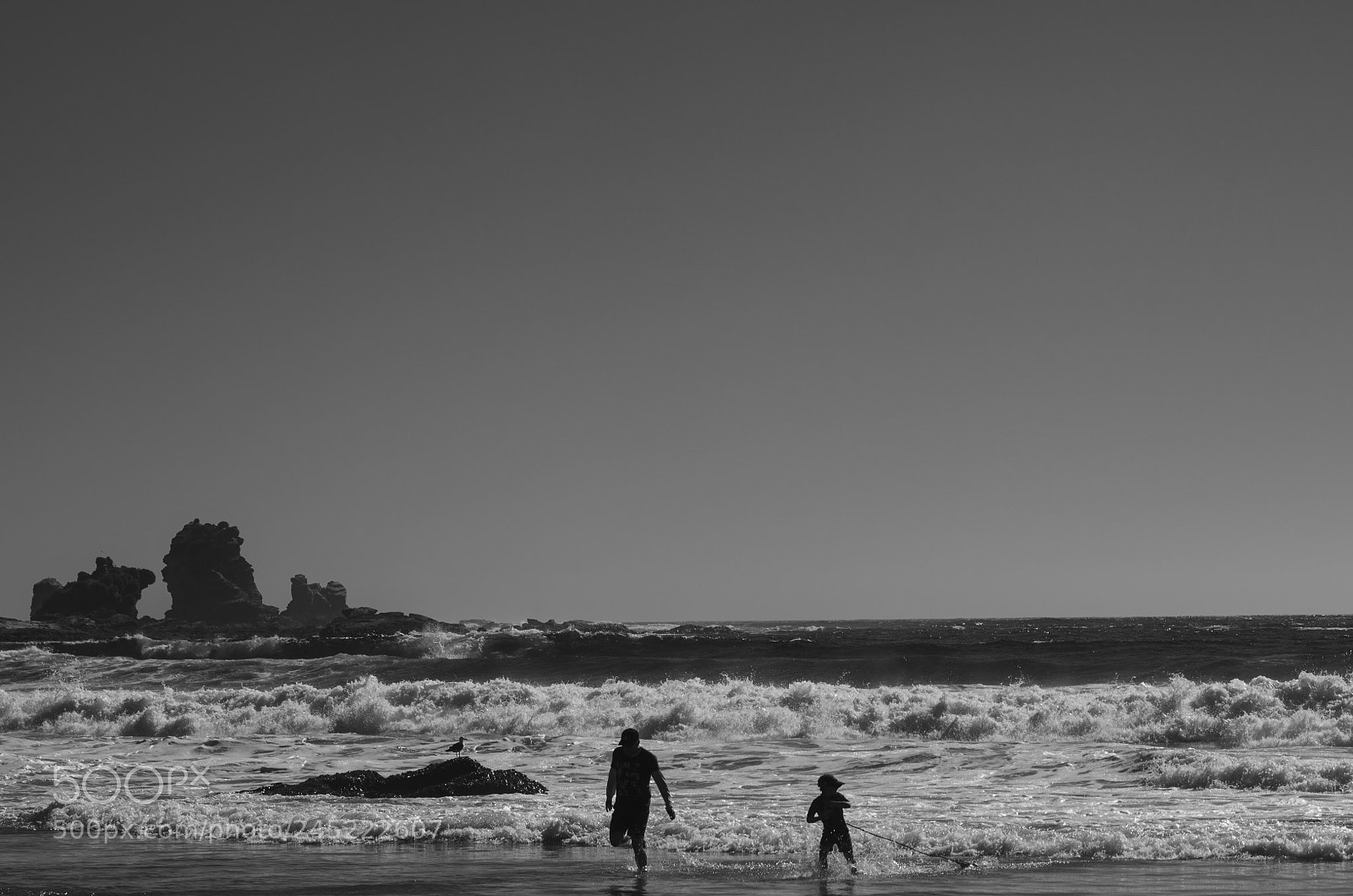 Nikon D5100 sample photo. Playa photography