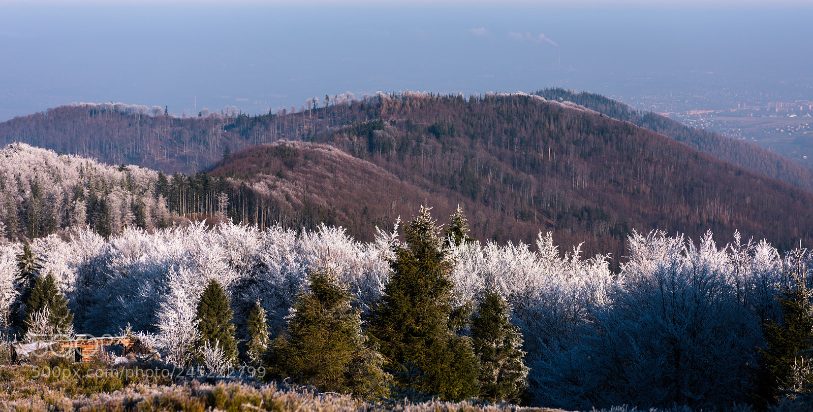 Nikon D810 sample photo. Błatnia peak photography