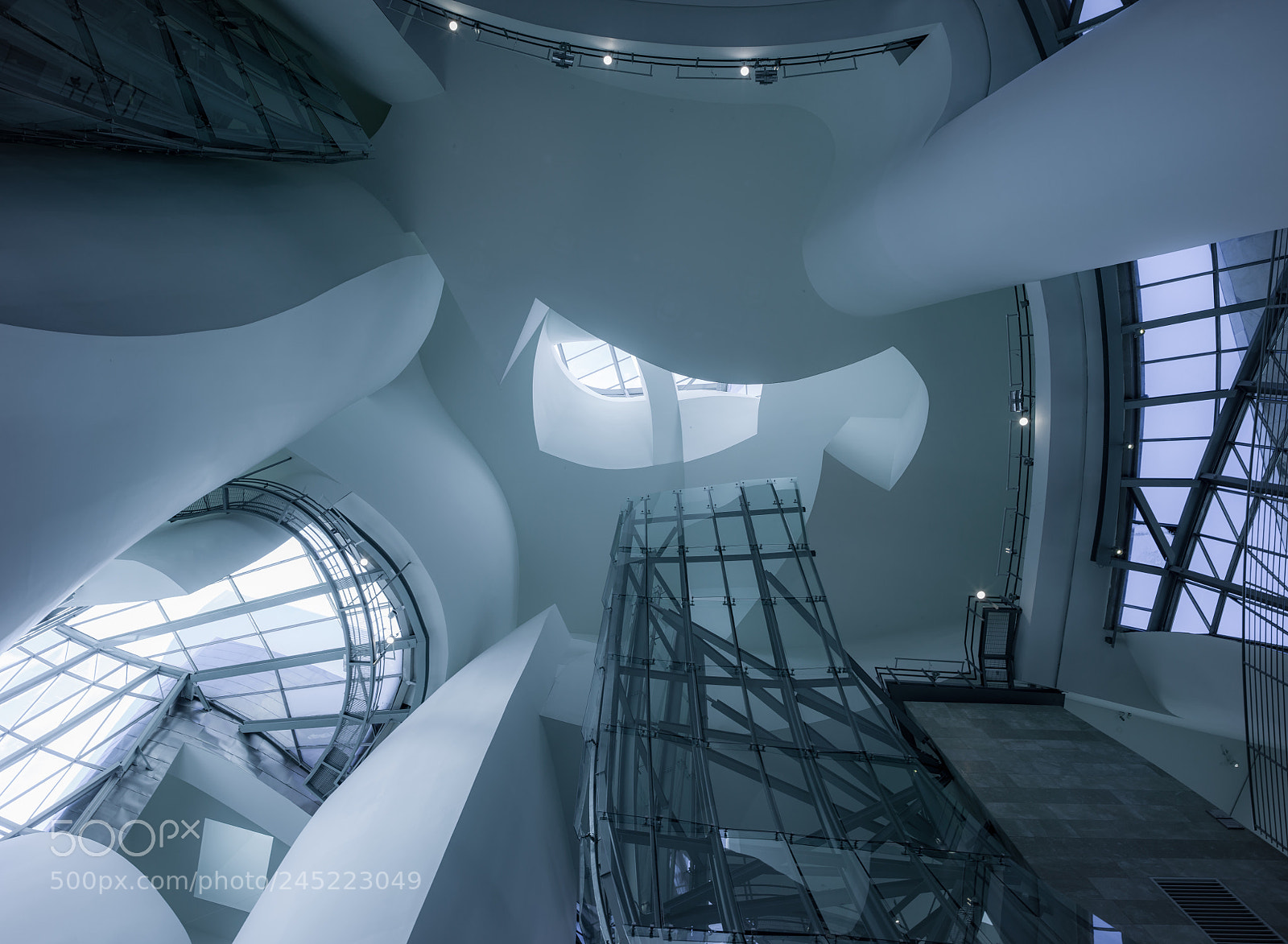 Hasselblad X1D-50c sample photo. Frank gehry guggenheim bilbao photography
