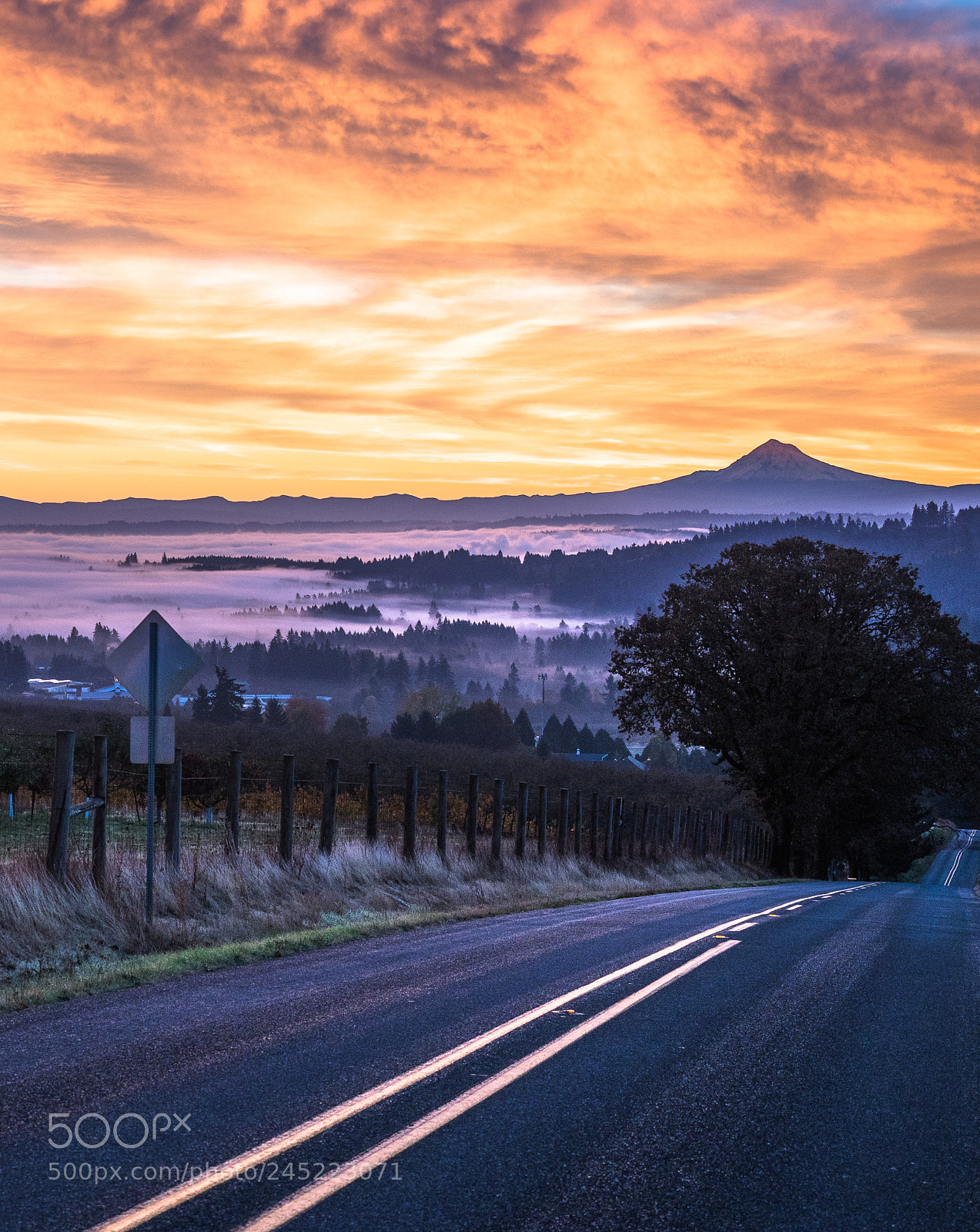 Olympus OM-D E-M5 II sample photo. Winter sunrise on chehalem photography